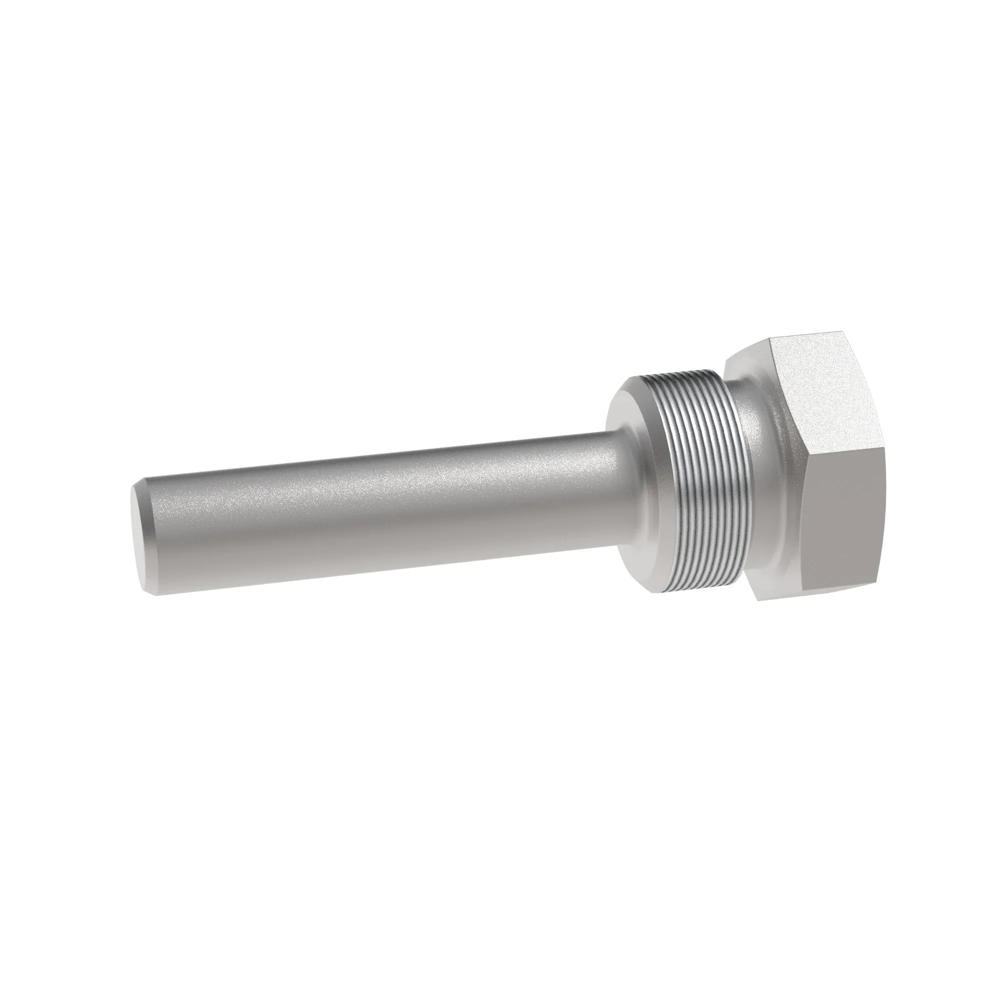 Fitting Plug