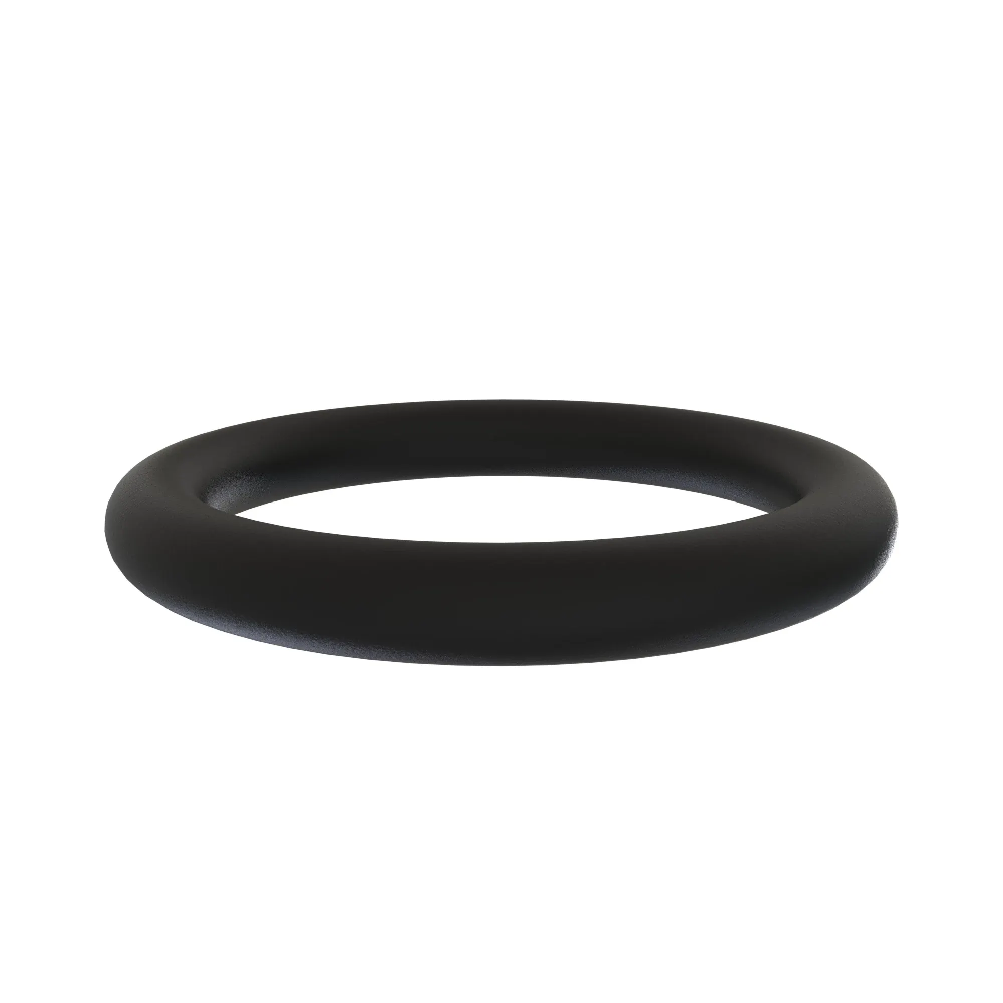 O-RING AUSCO PARK BRAKE