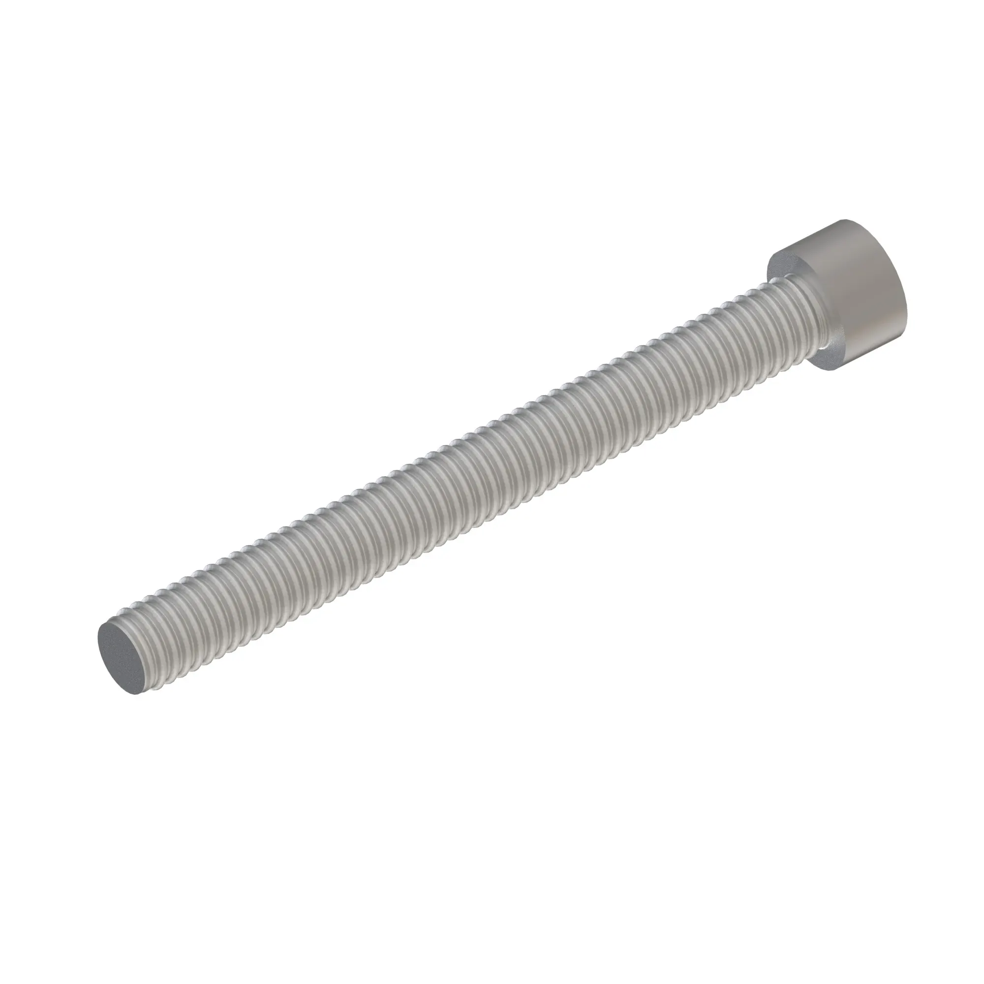 Screw