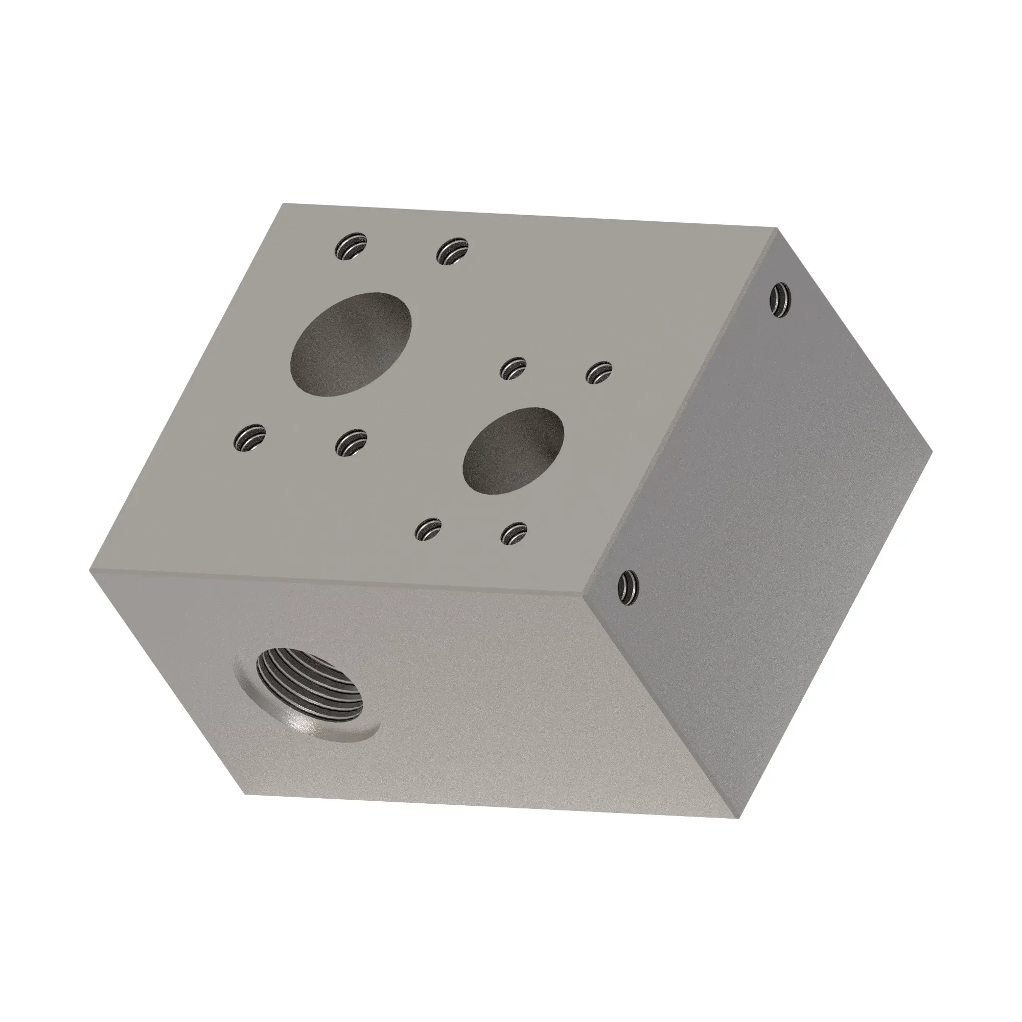 Manifold