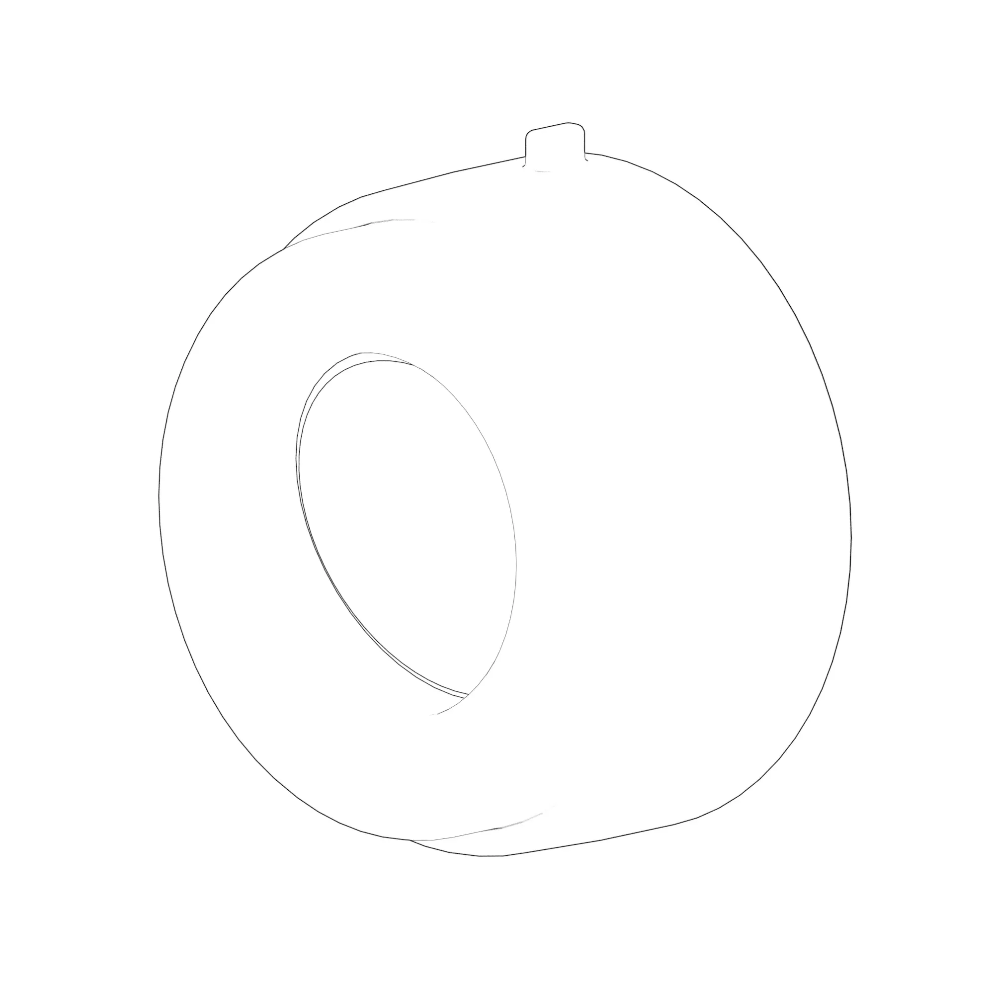 Check Valve