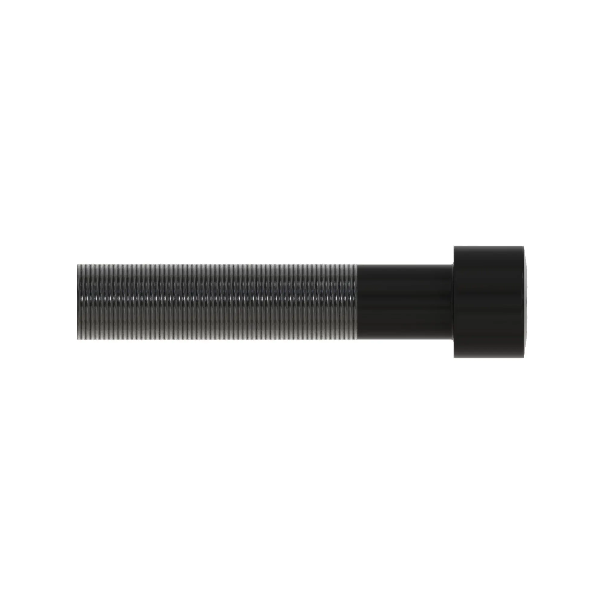 Socket Head Screw