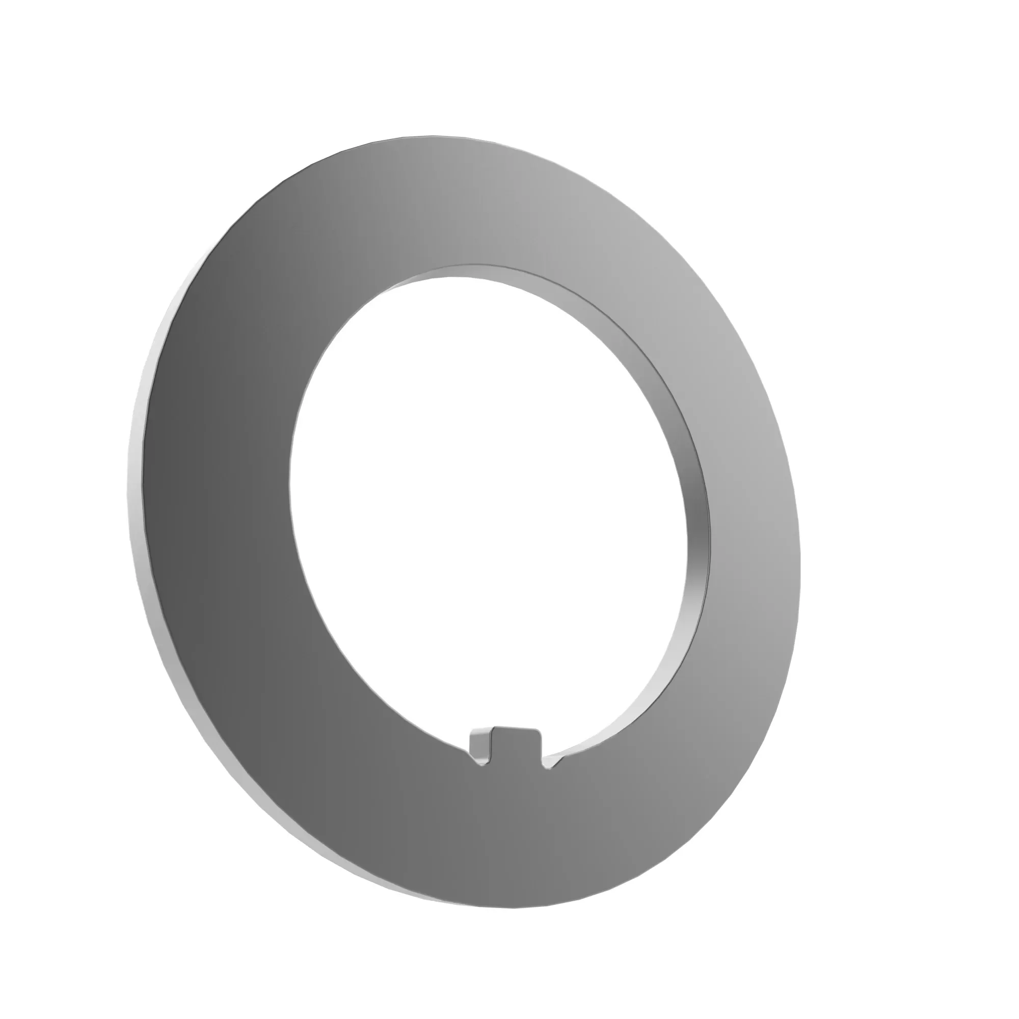 Thrust Washer