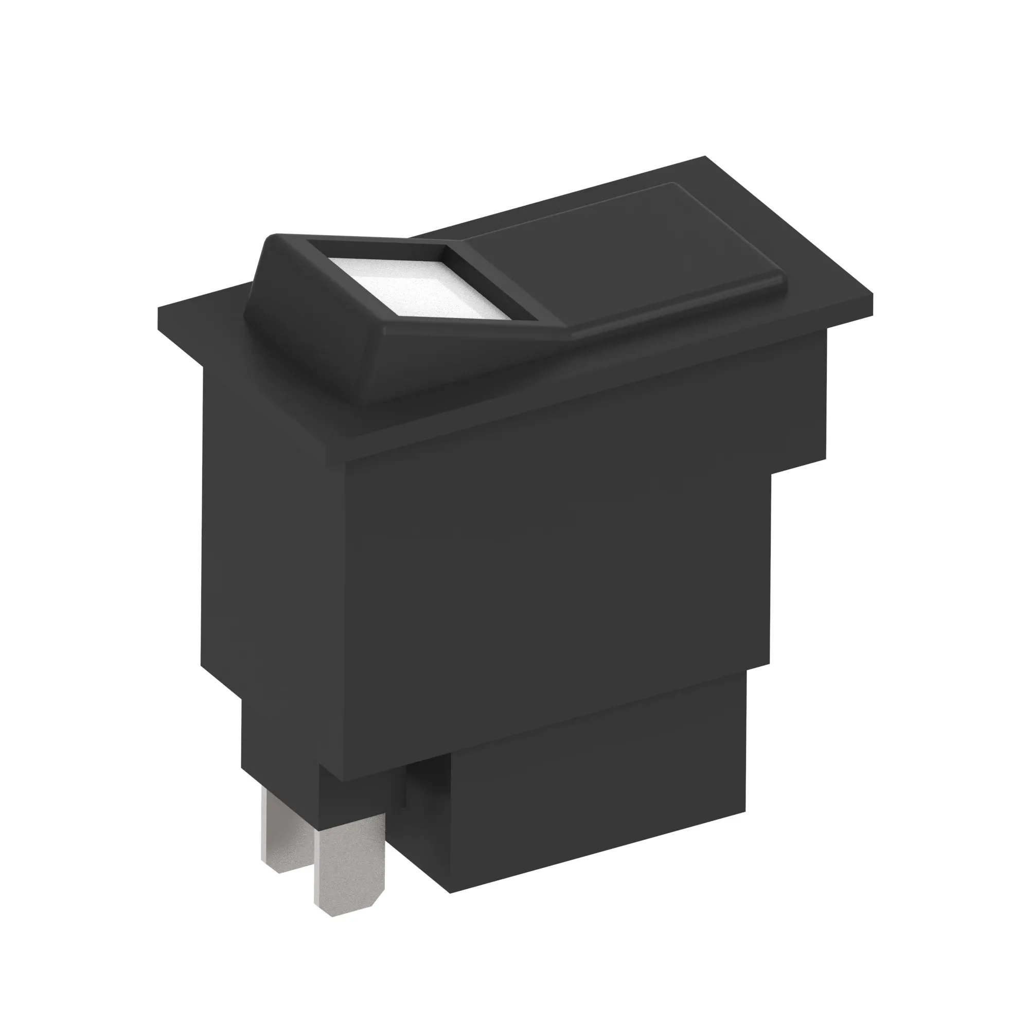 Toggle/Rocker Switch