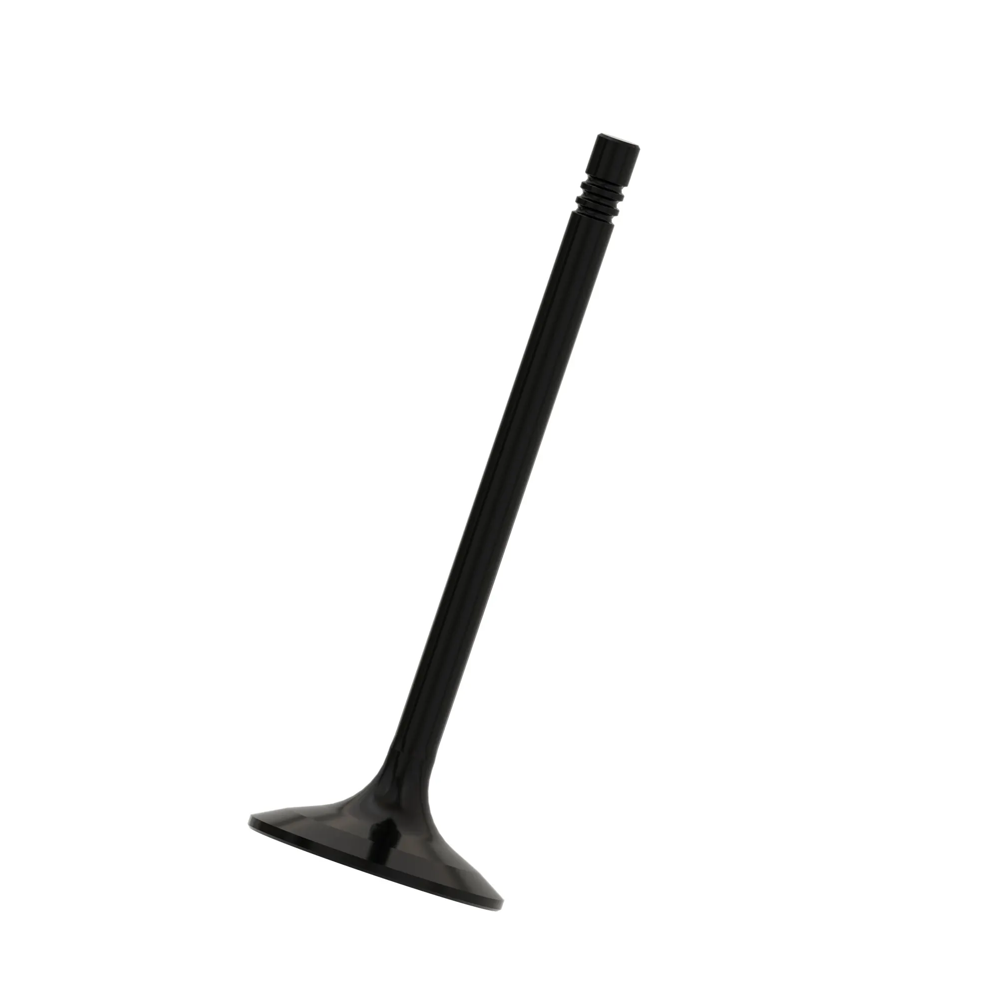 Intake Valve
