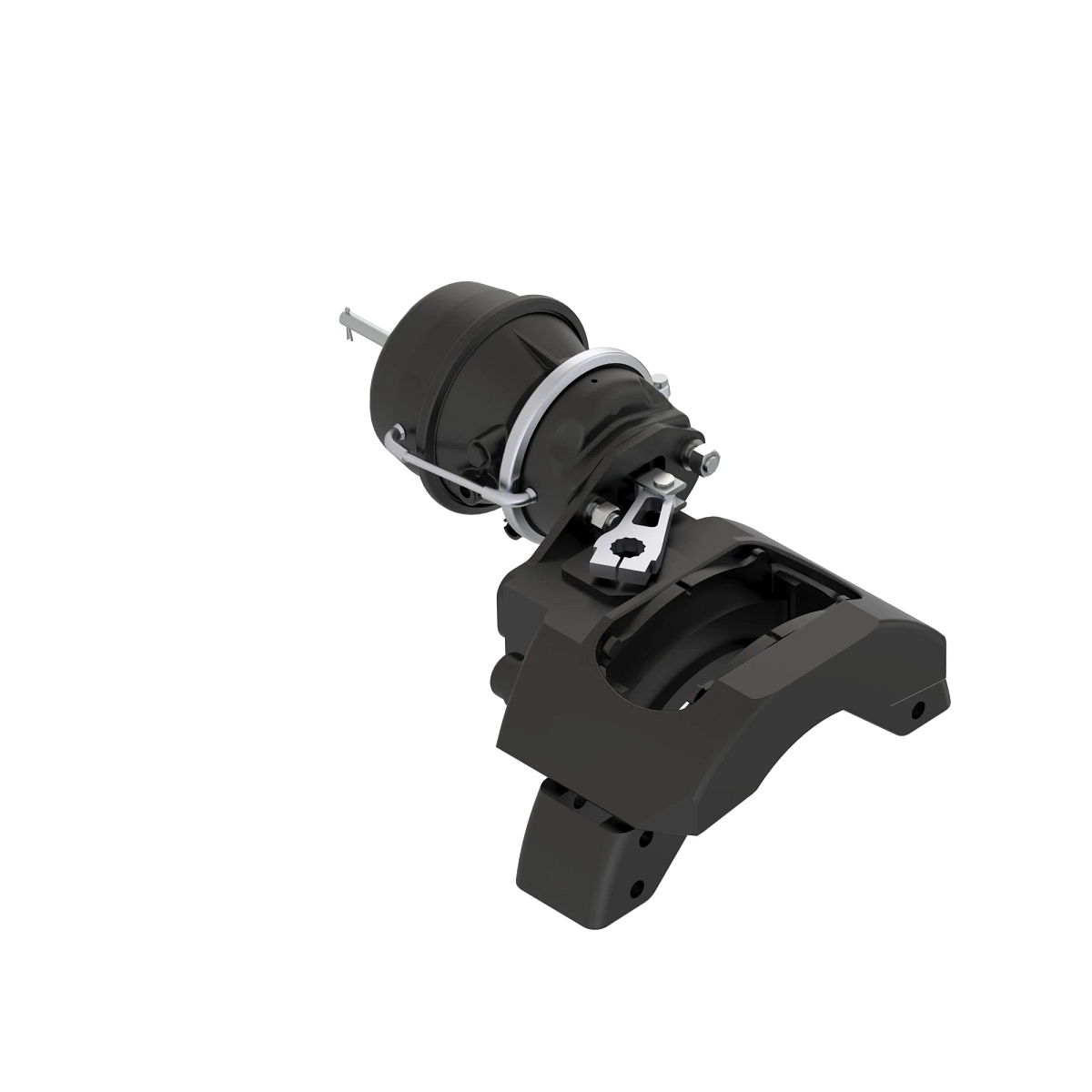 Park Brake Assy