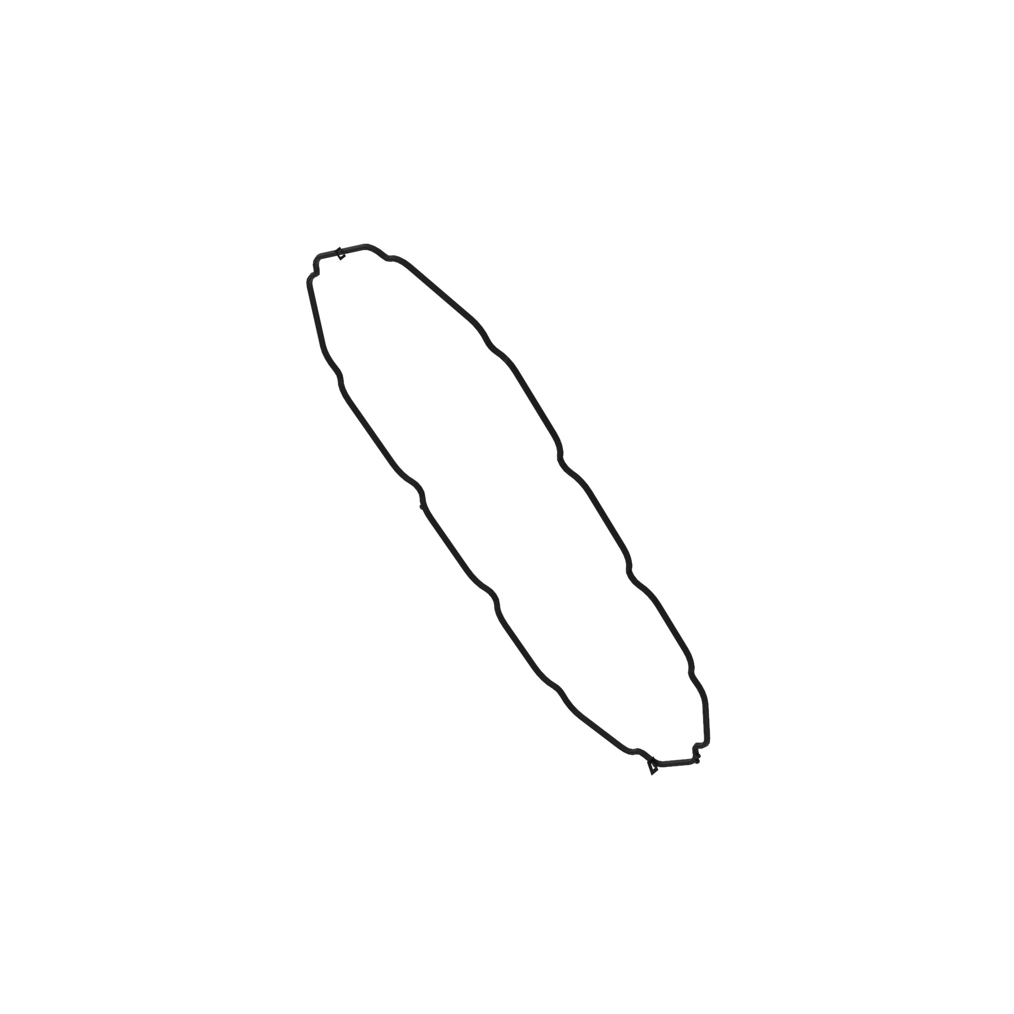 V-RING SEAL