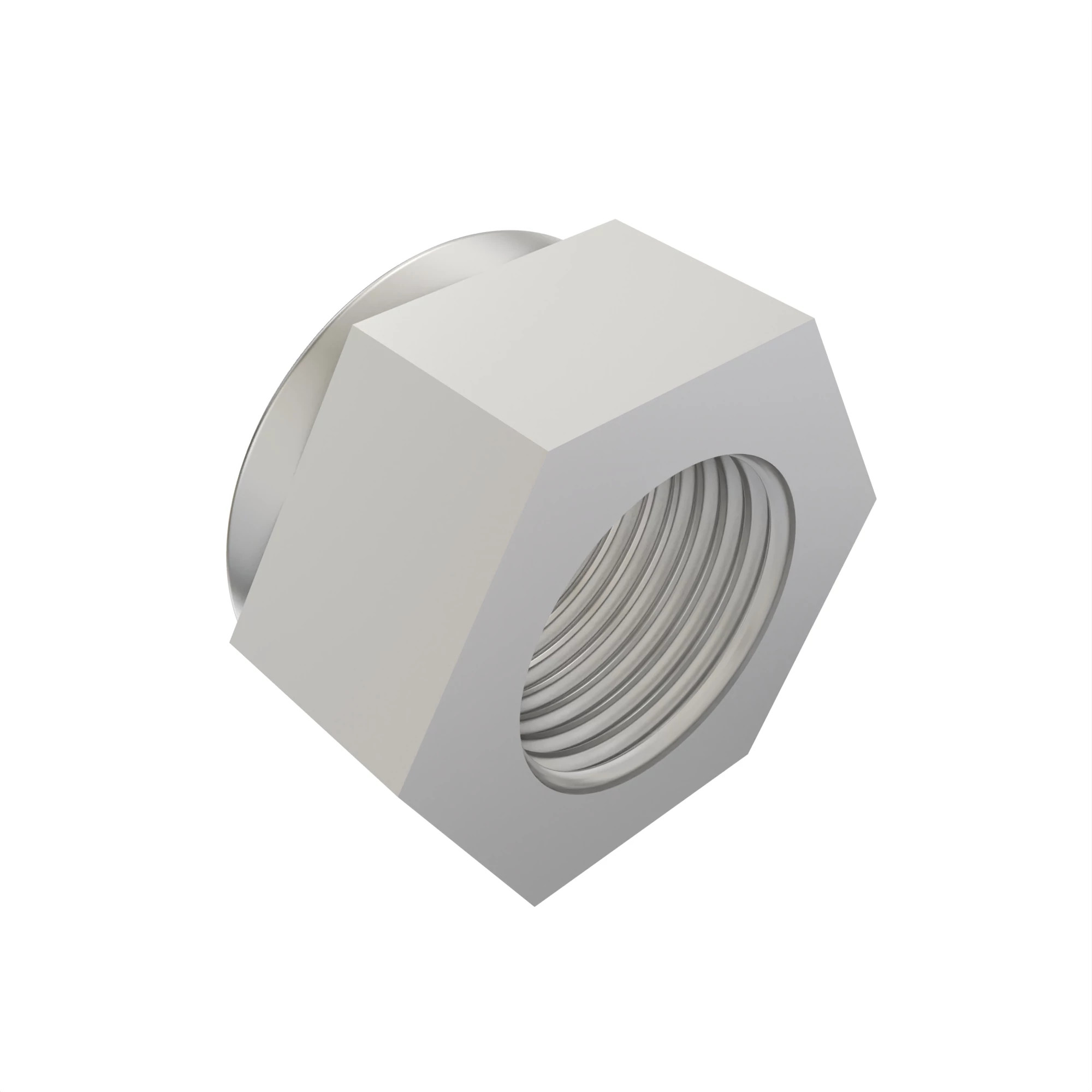 R69706: Hexagonal Prevailing Torque Nut, M16