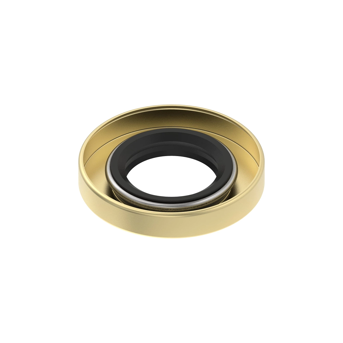 Oil Seal