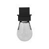 Bulb