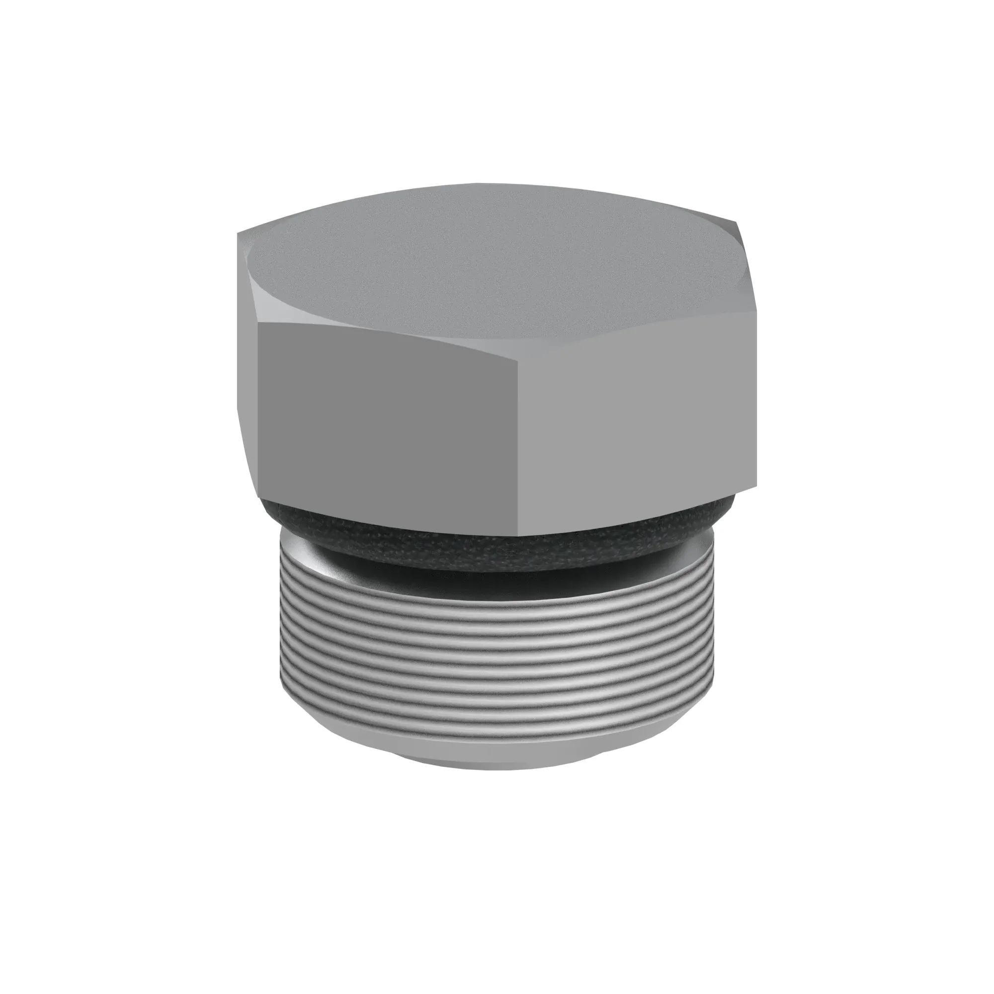 Drain Plug