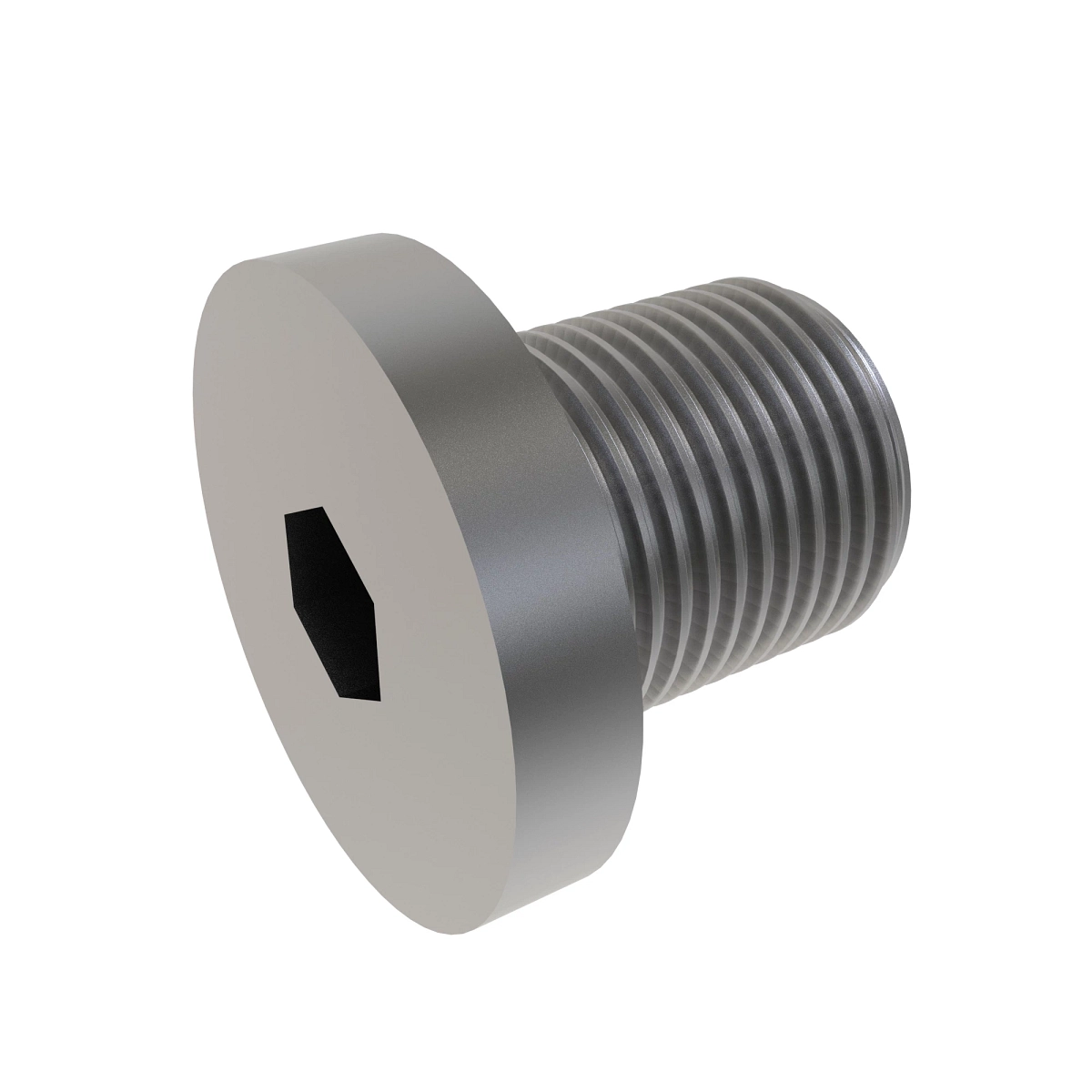Drain Plug, Hollow Hex