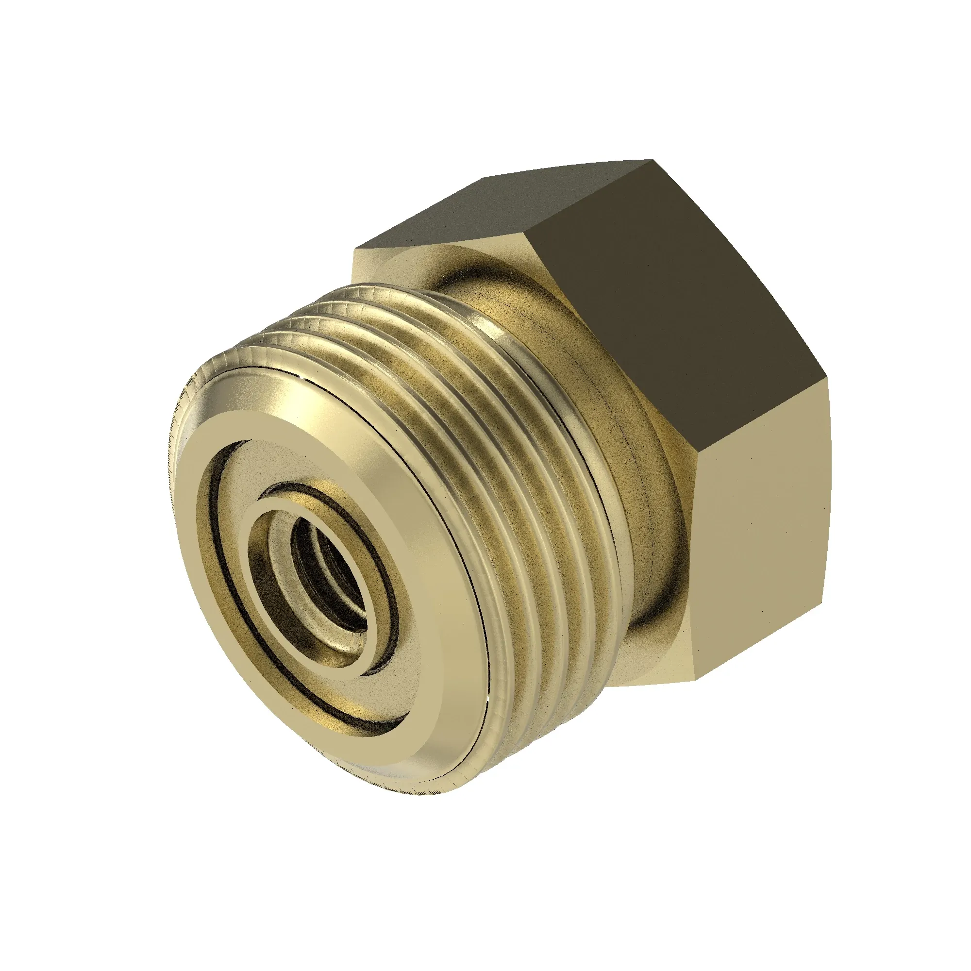 Fitting Plug