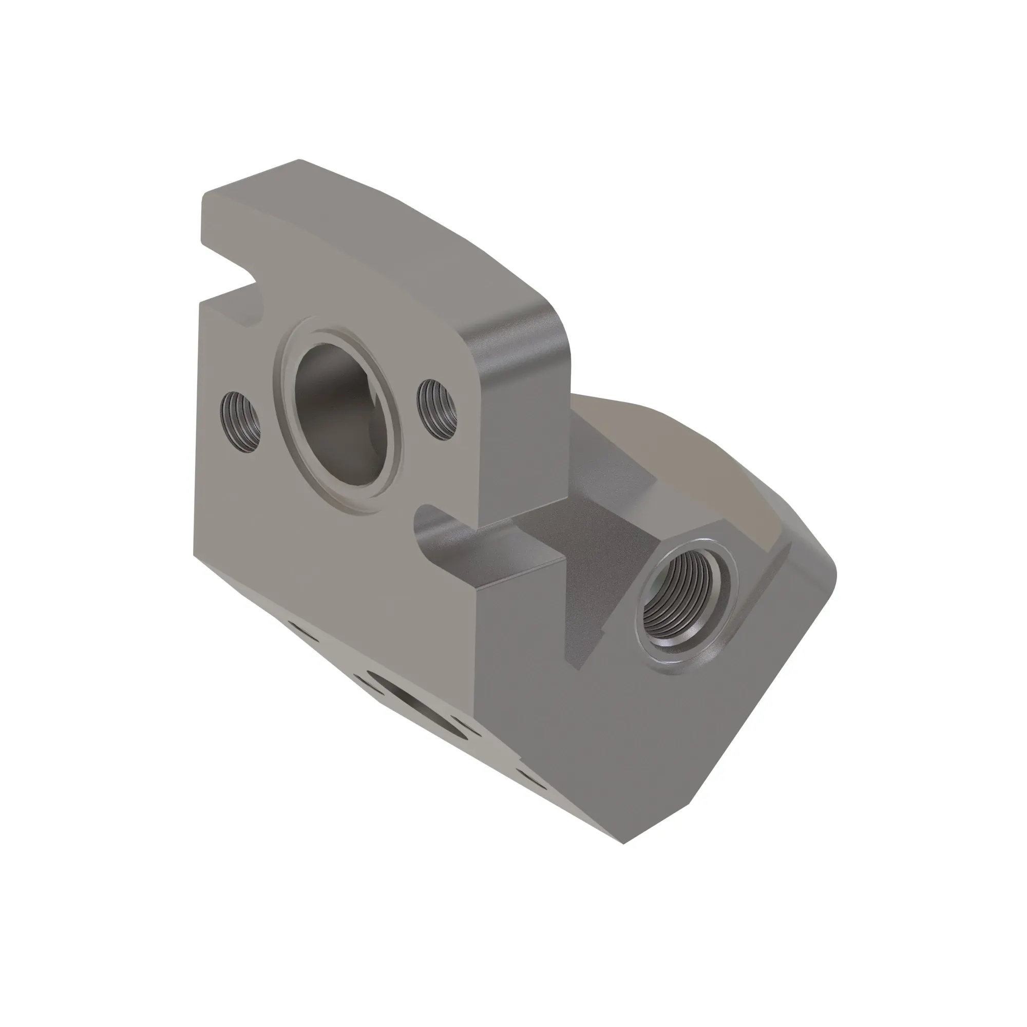 Manifold