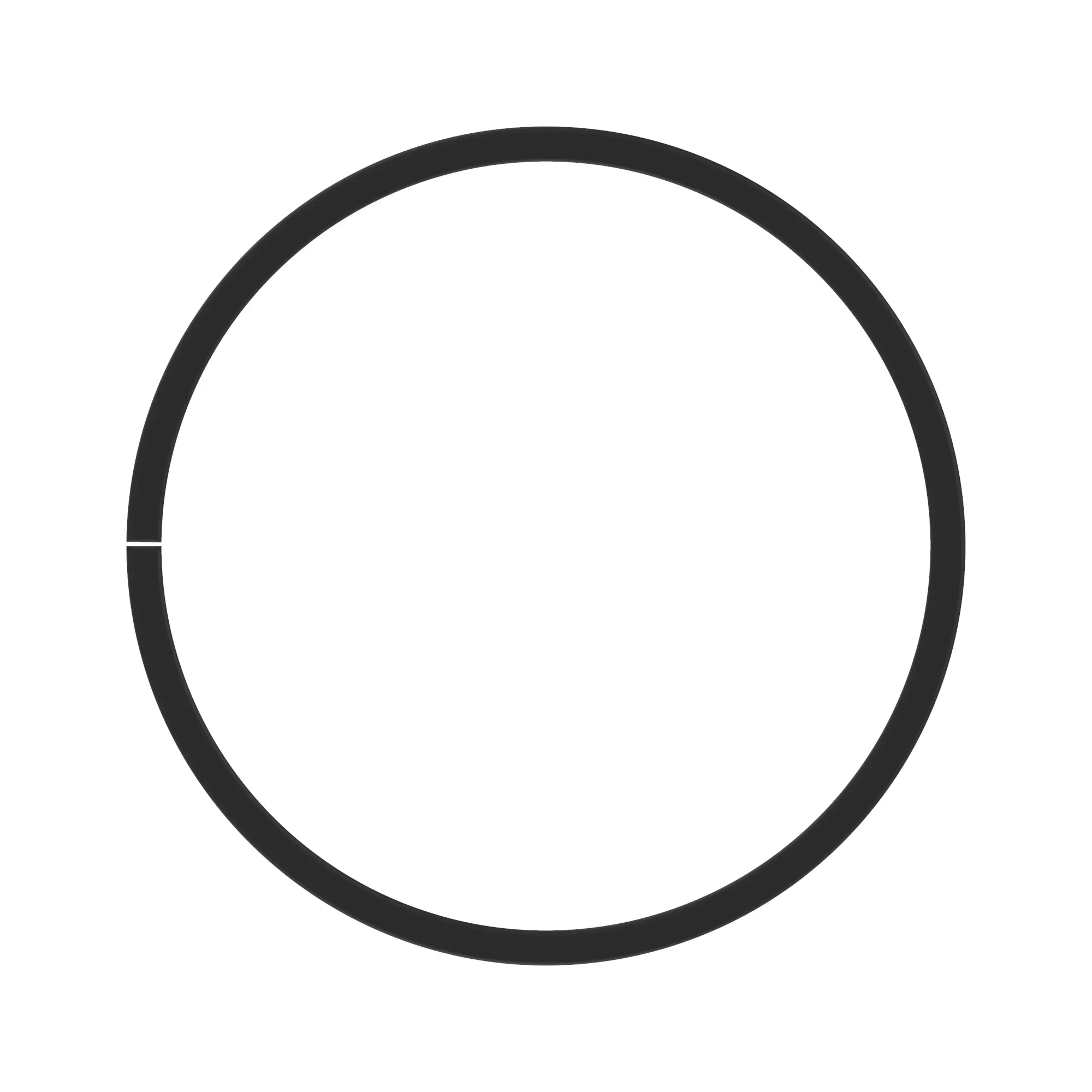 Piston Ring