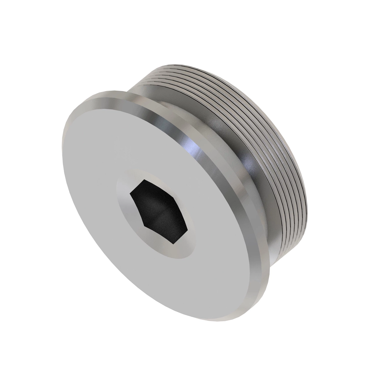 Fitting Plug, Special