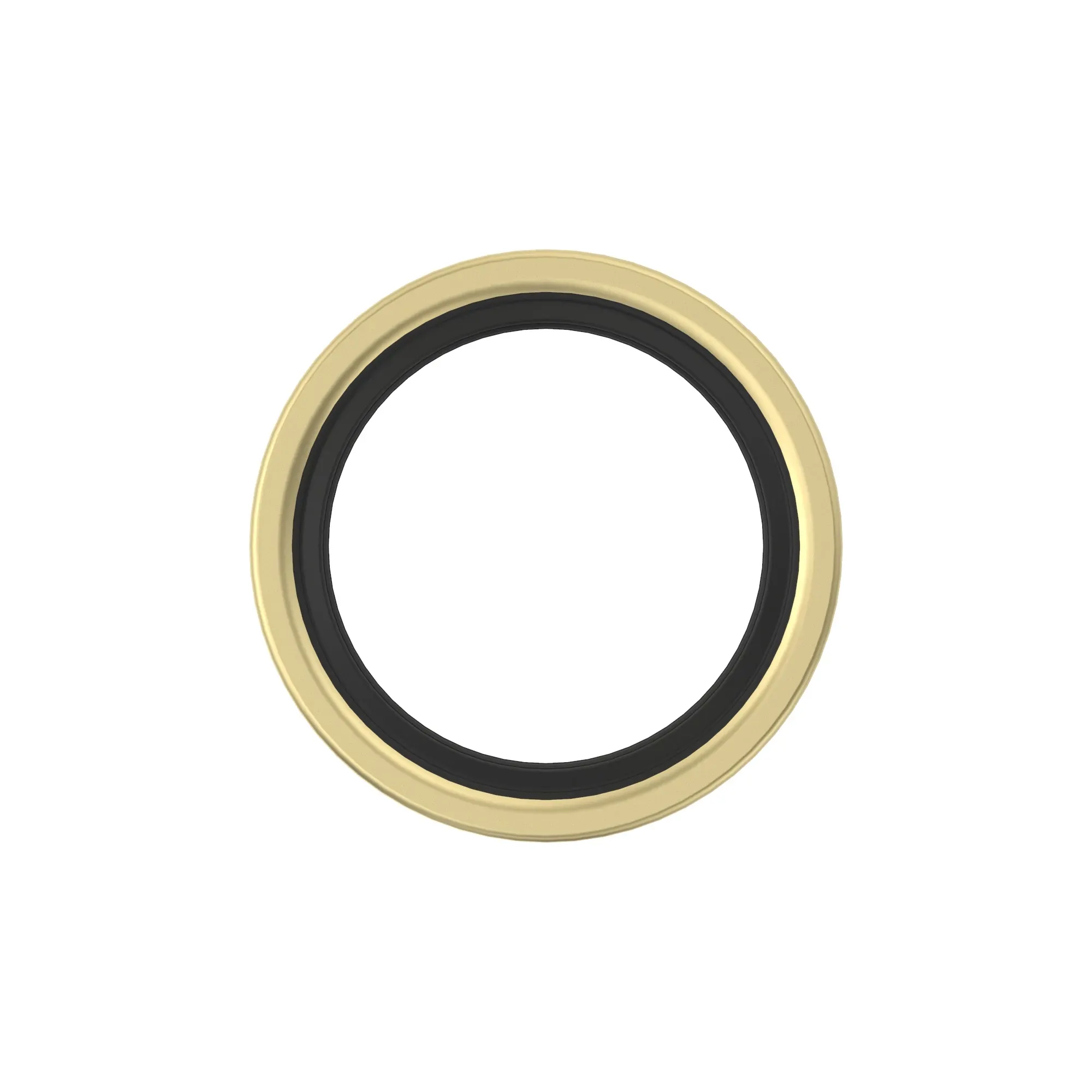 SEAL, OIL LIP