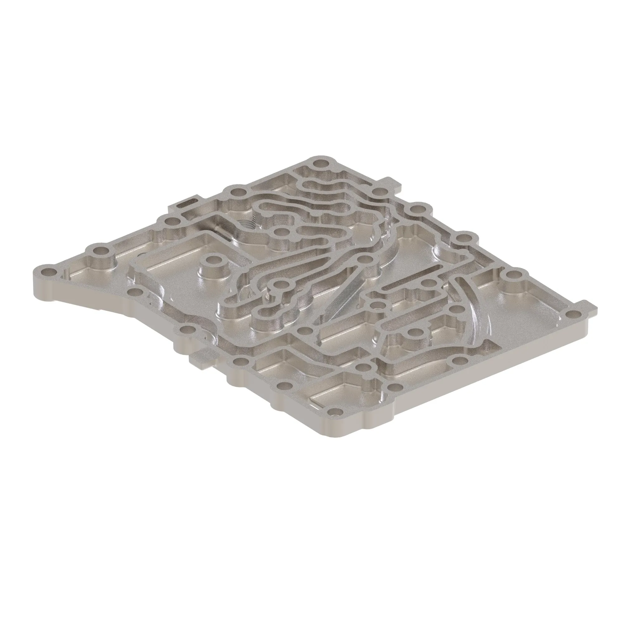 Manifold