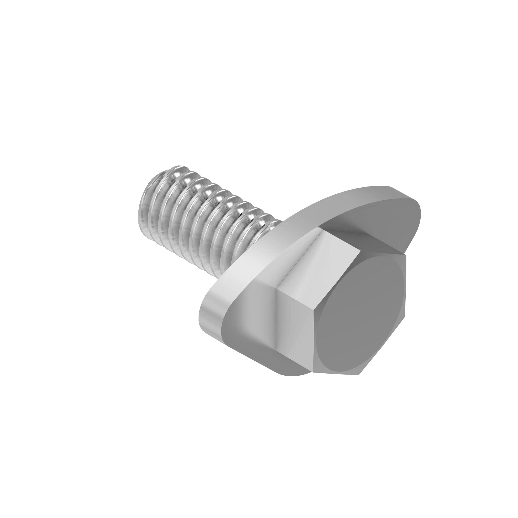 SCREW WITH WASHER