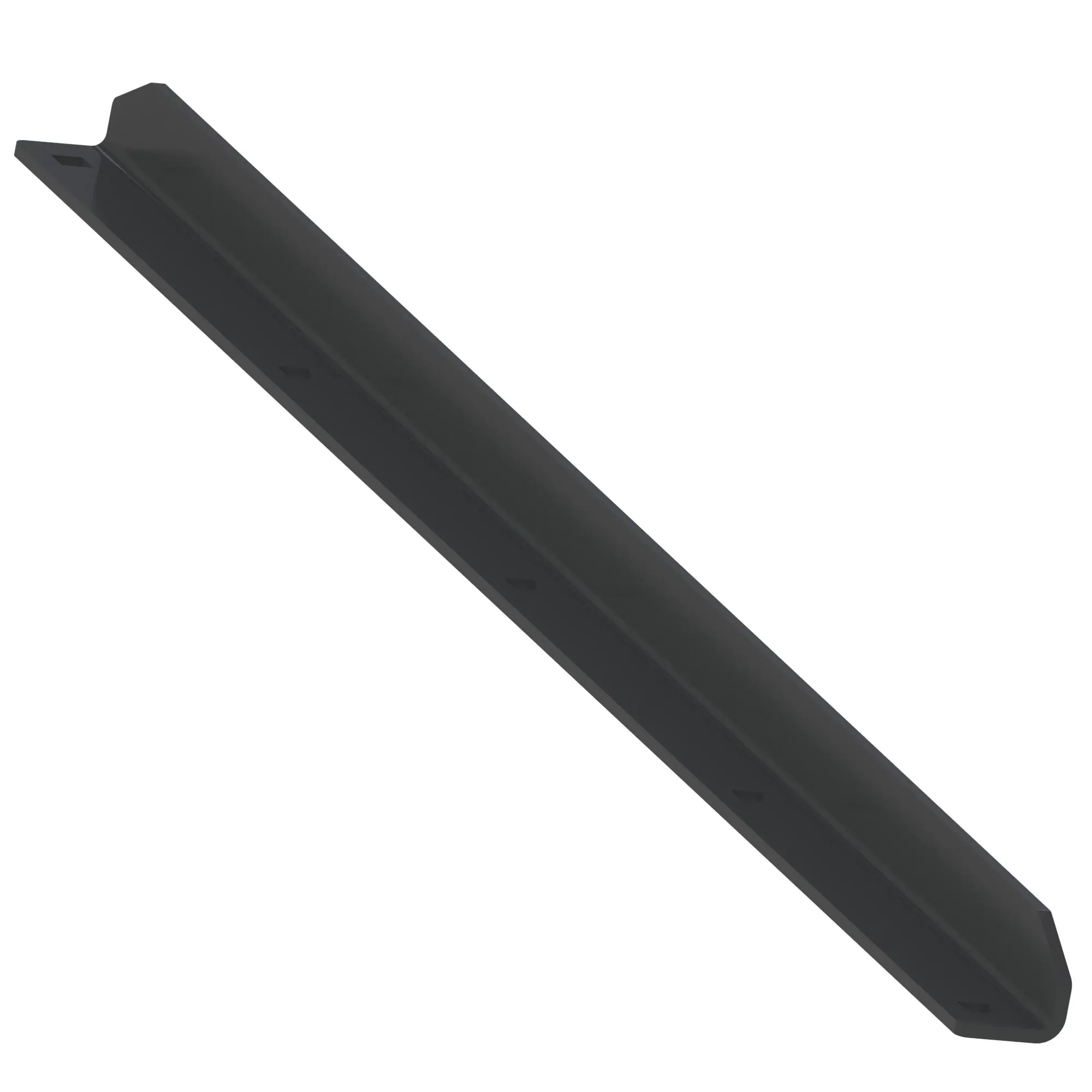 Rib