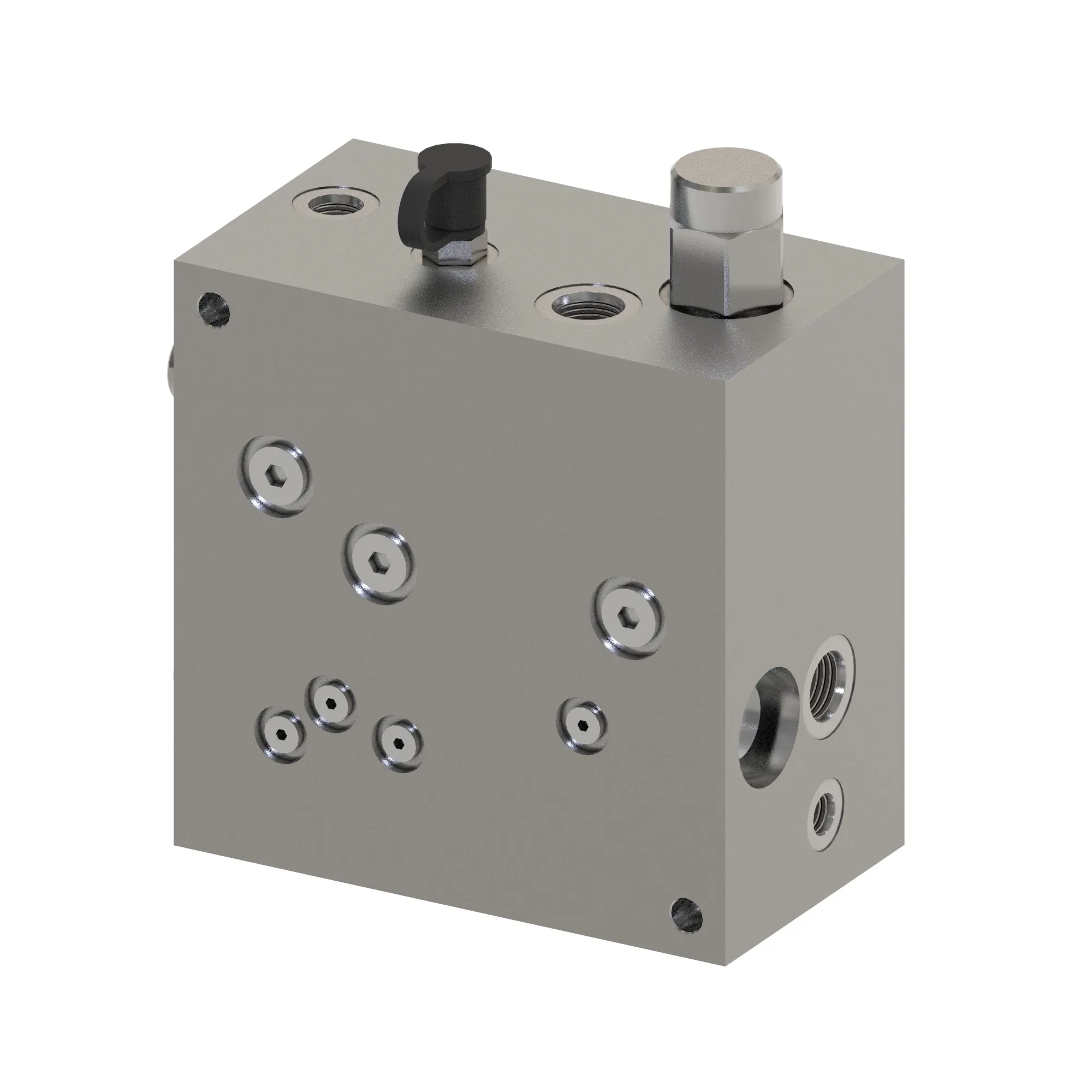 MANIFOLD