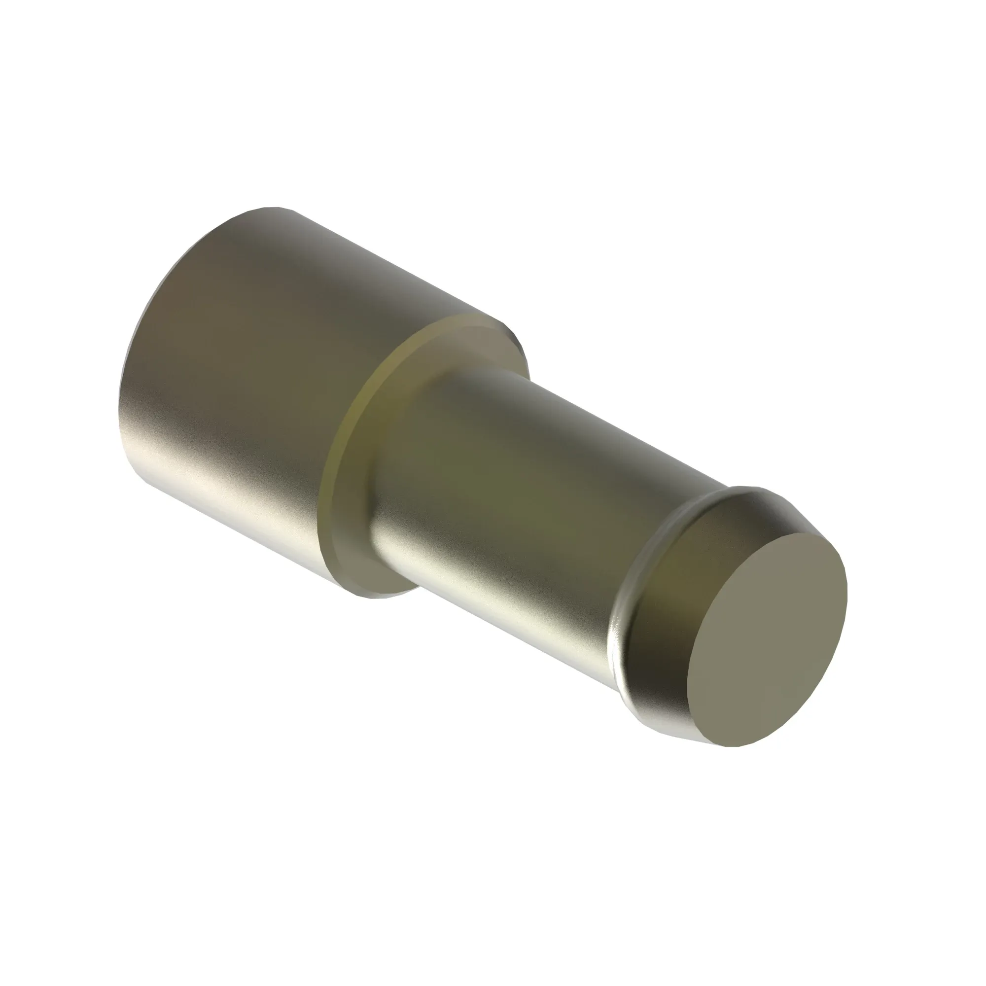 Fitting Plug