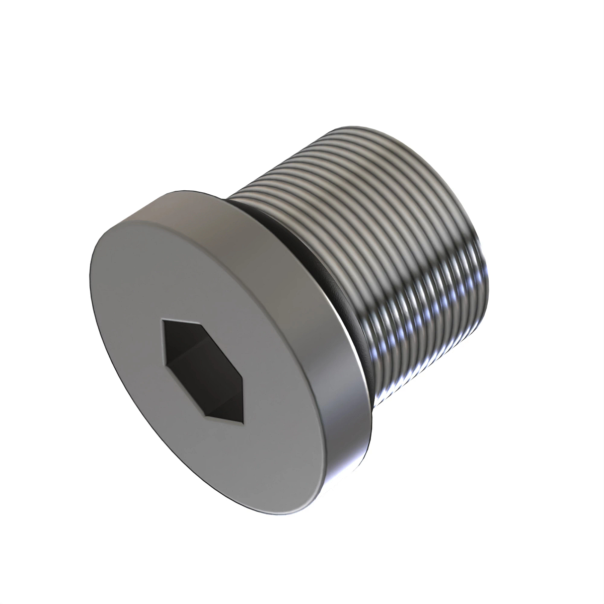 PLUG, HEX SKT -4 ORB