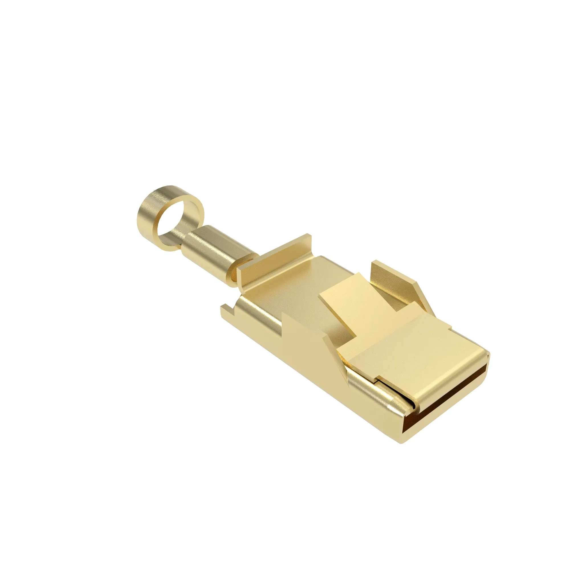 DELPHI-10 GA F MAXI FUSE SPRNG &TER