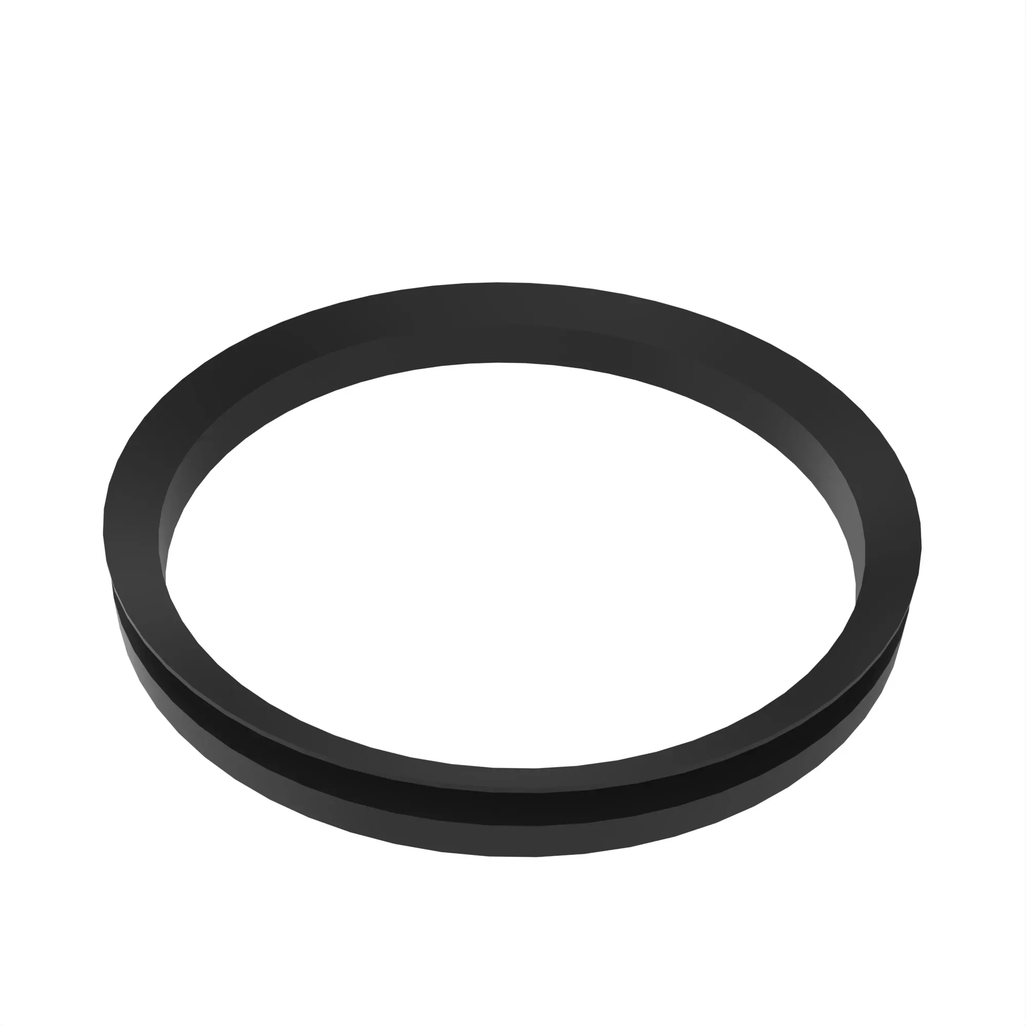 v-ringseal