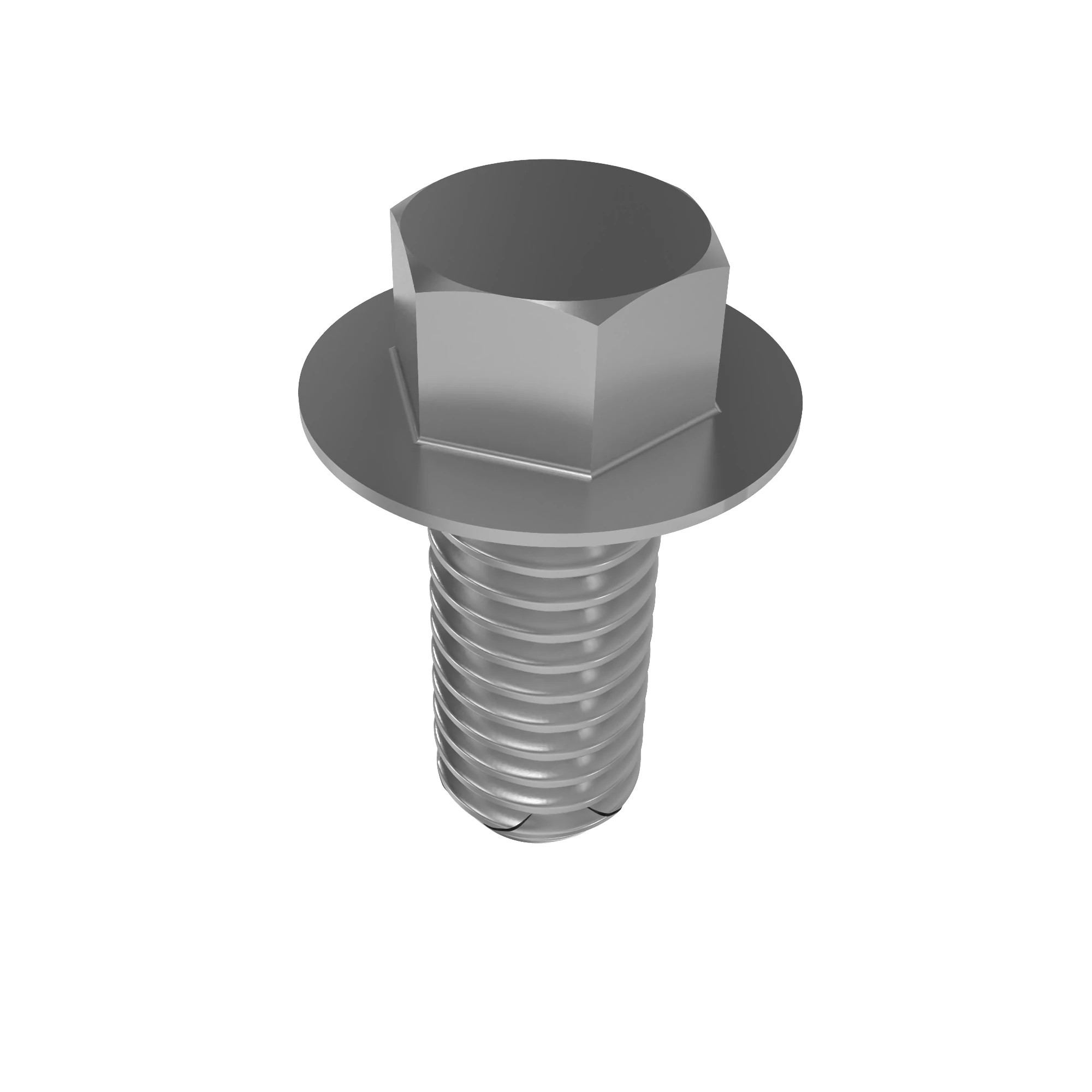 Screw With Washer
