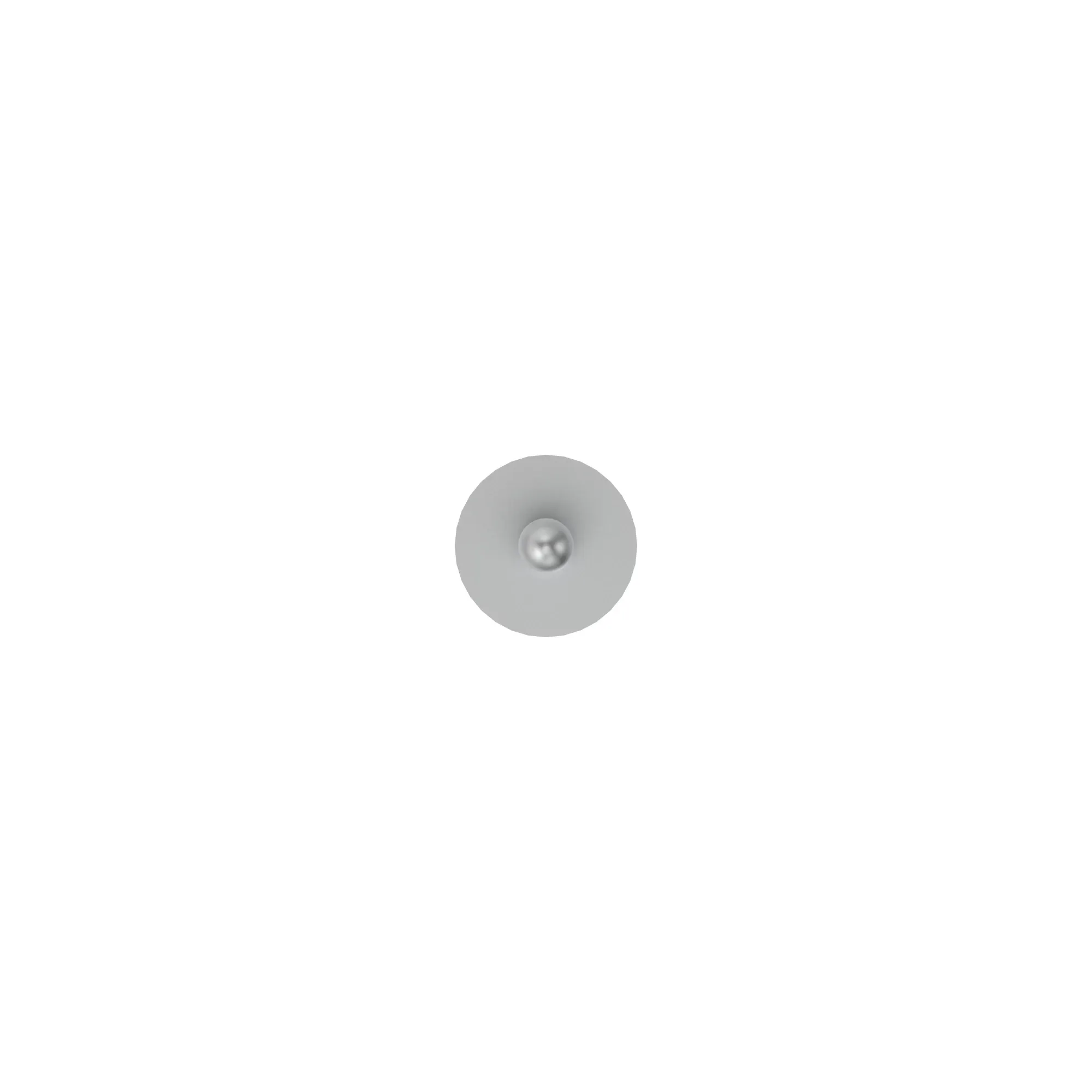 Rivet