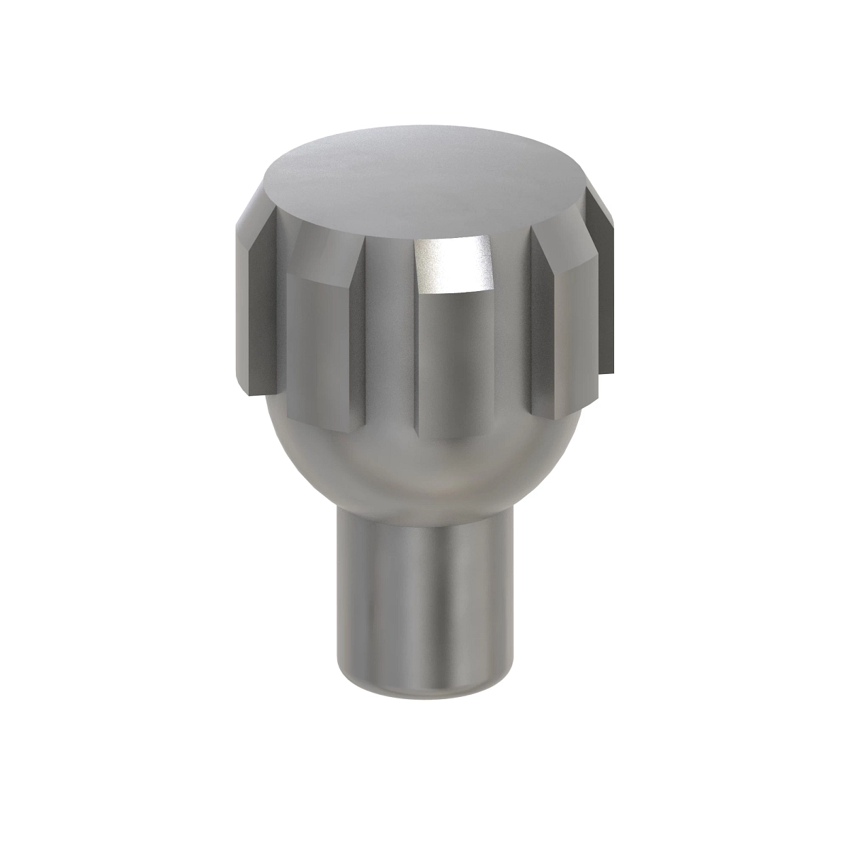 Check Valve
