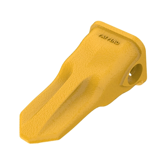 Chisel Tooth