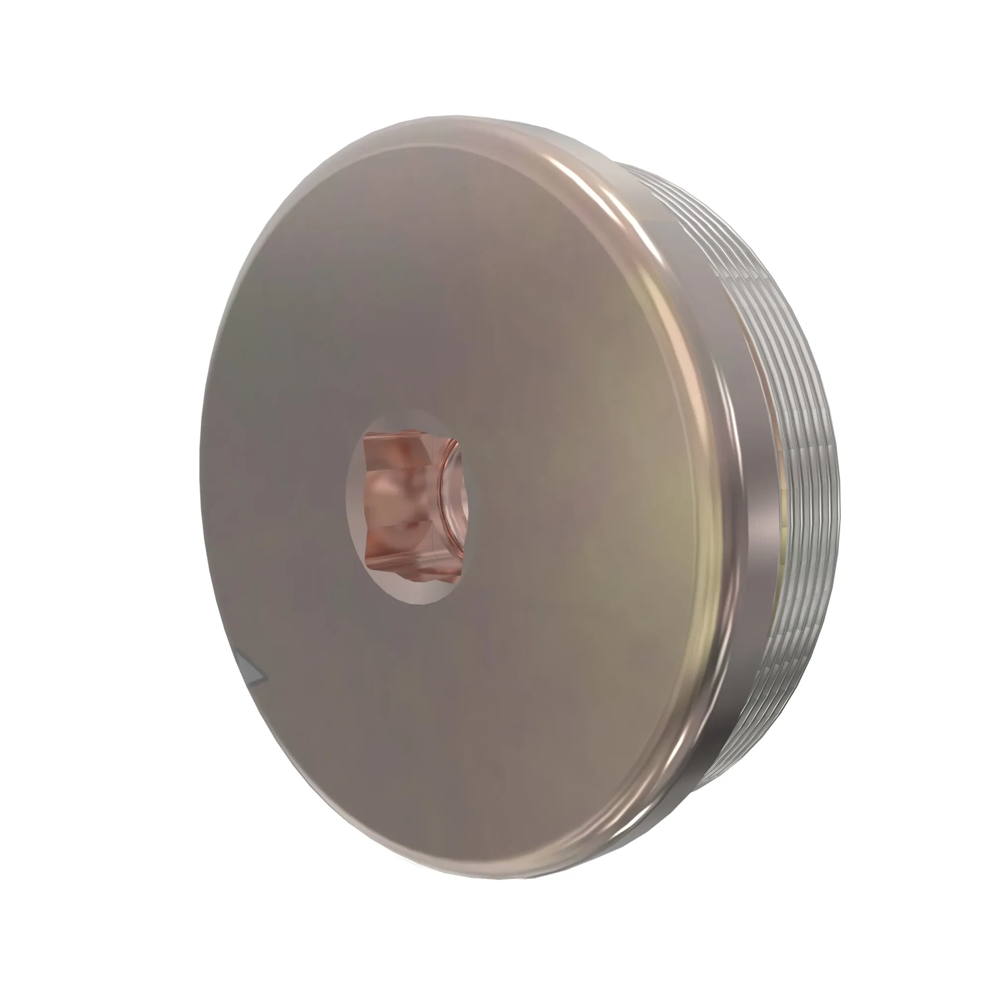 Fitting Plug