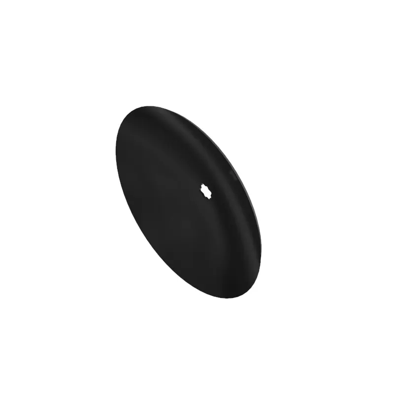 Disk
