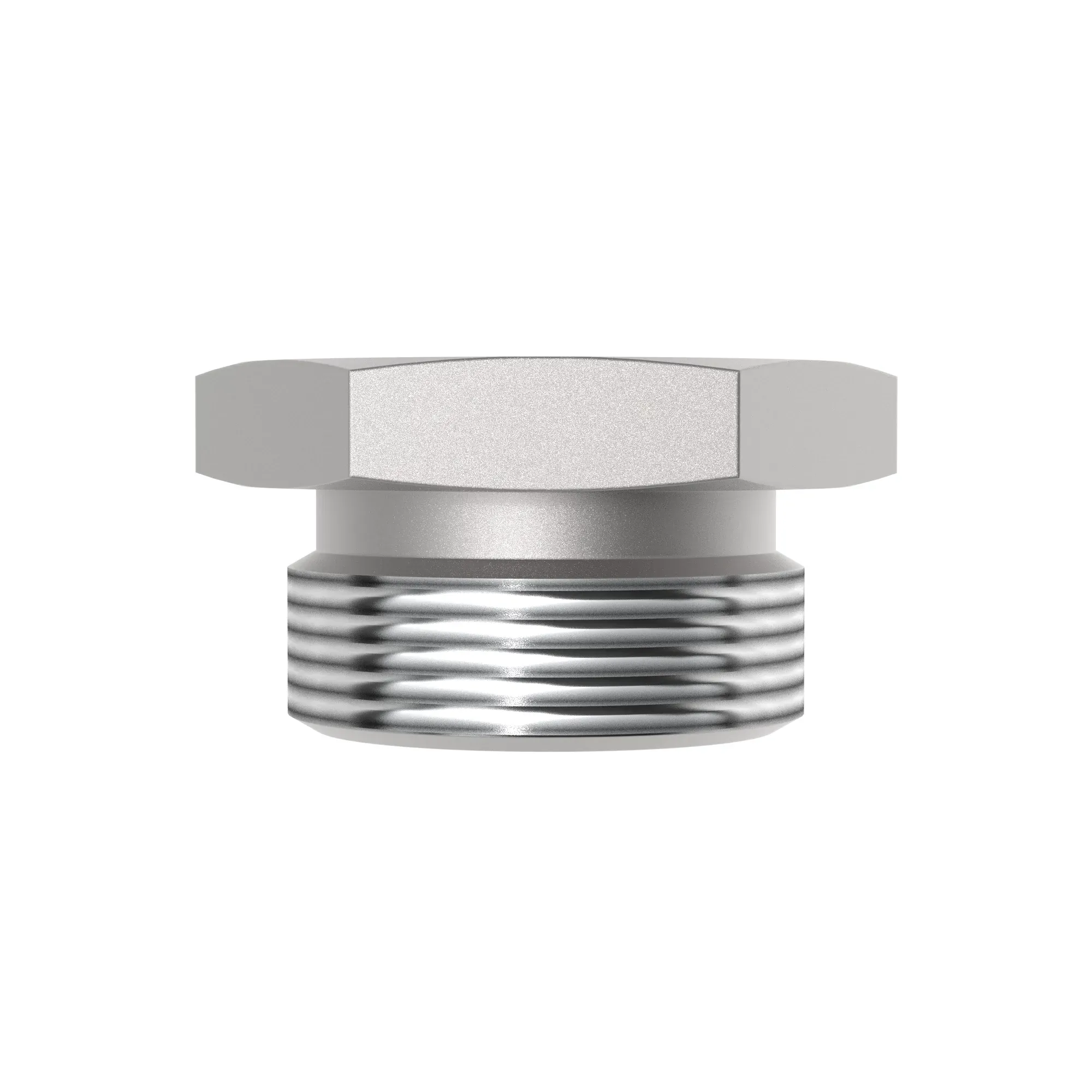 Fitting Plug