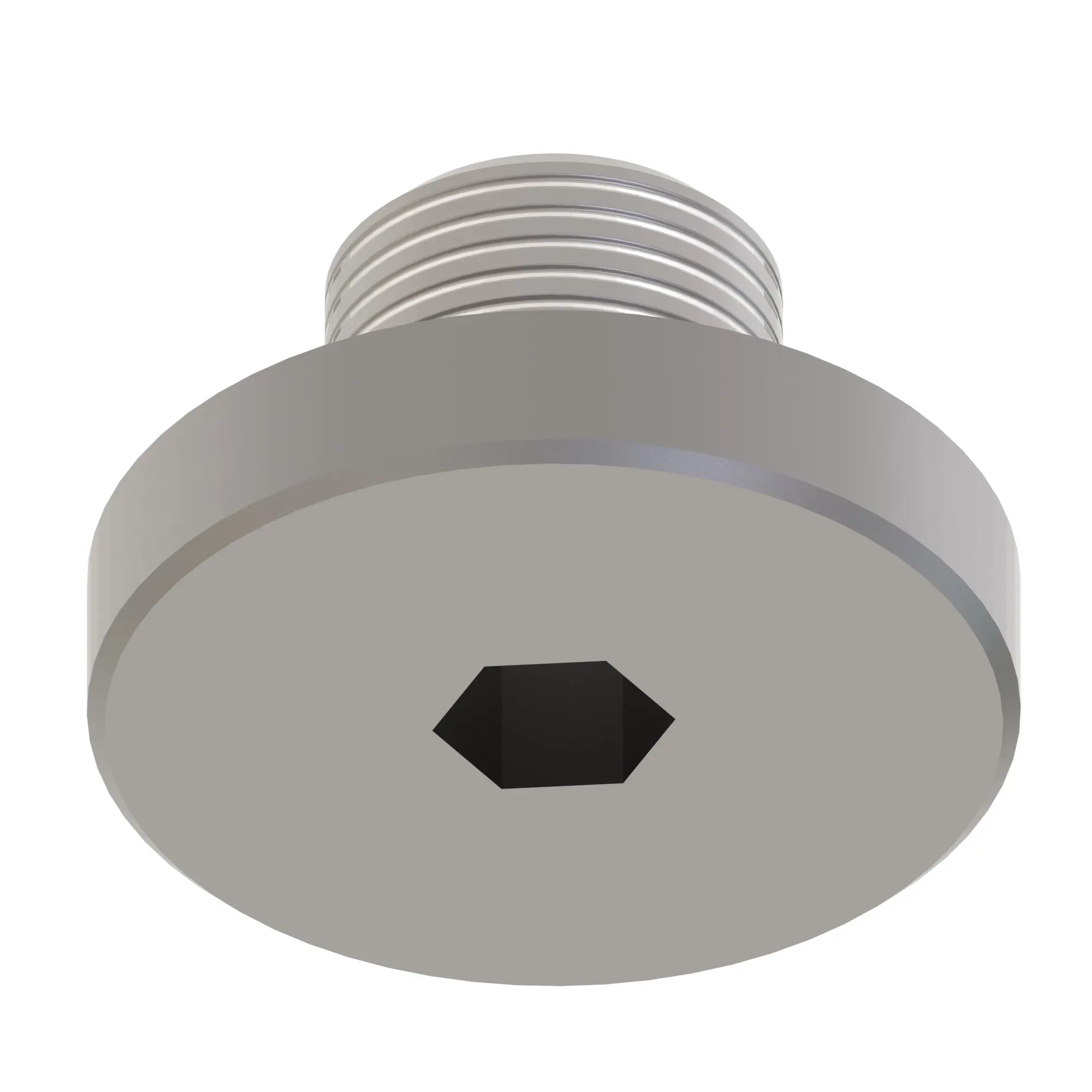 Fitting Plug