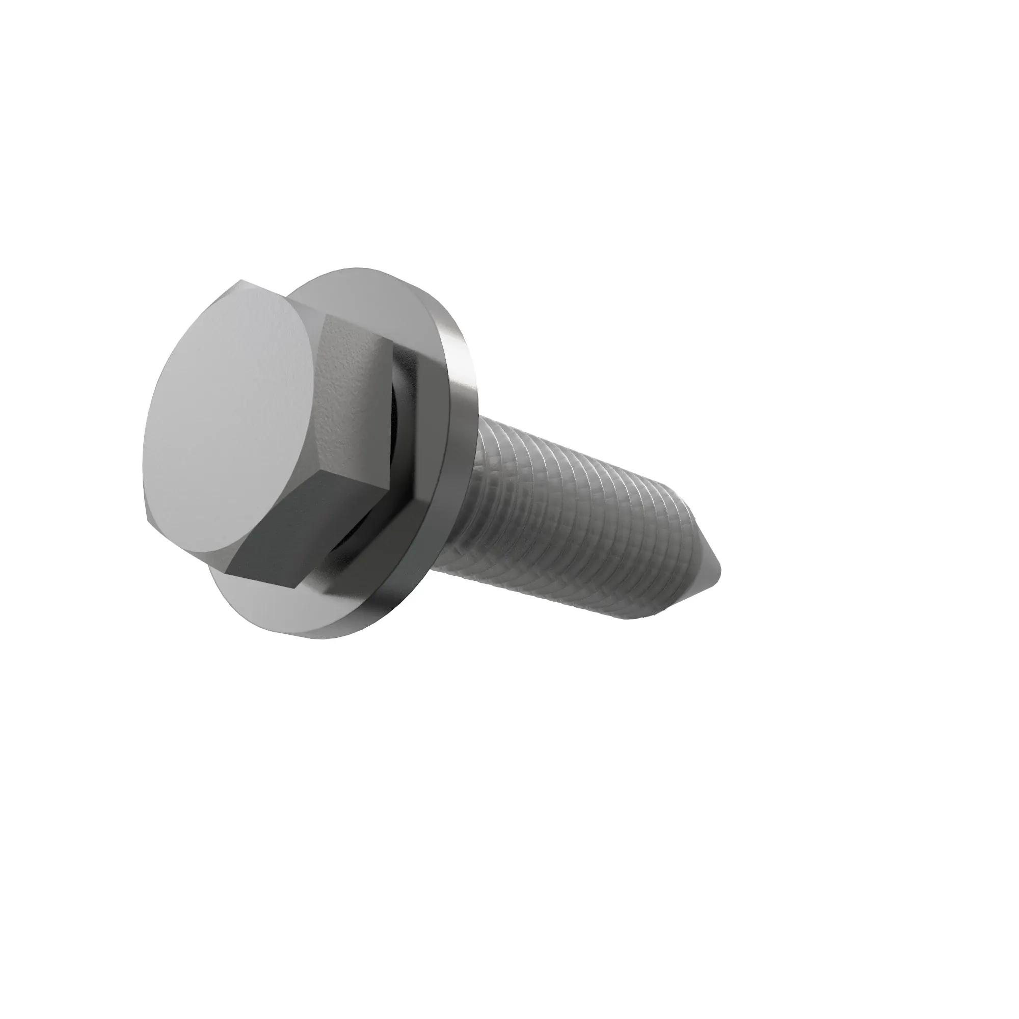 SCREW WITH WASHER