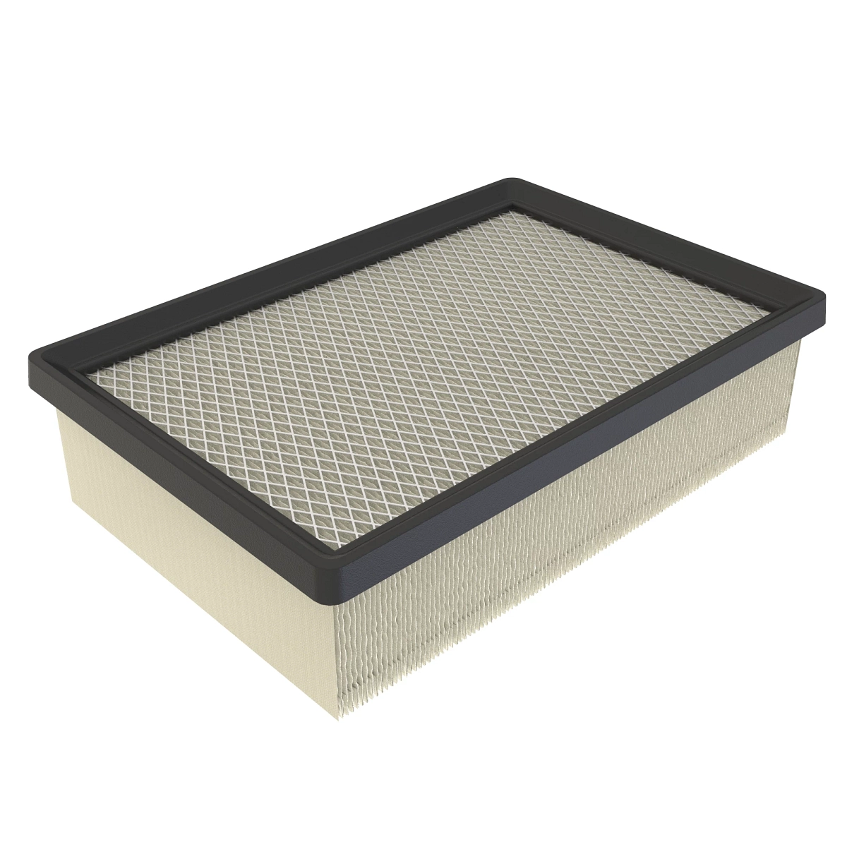 Filter, Air Assy