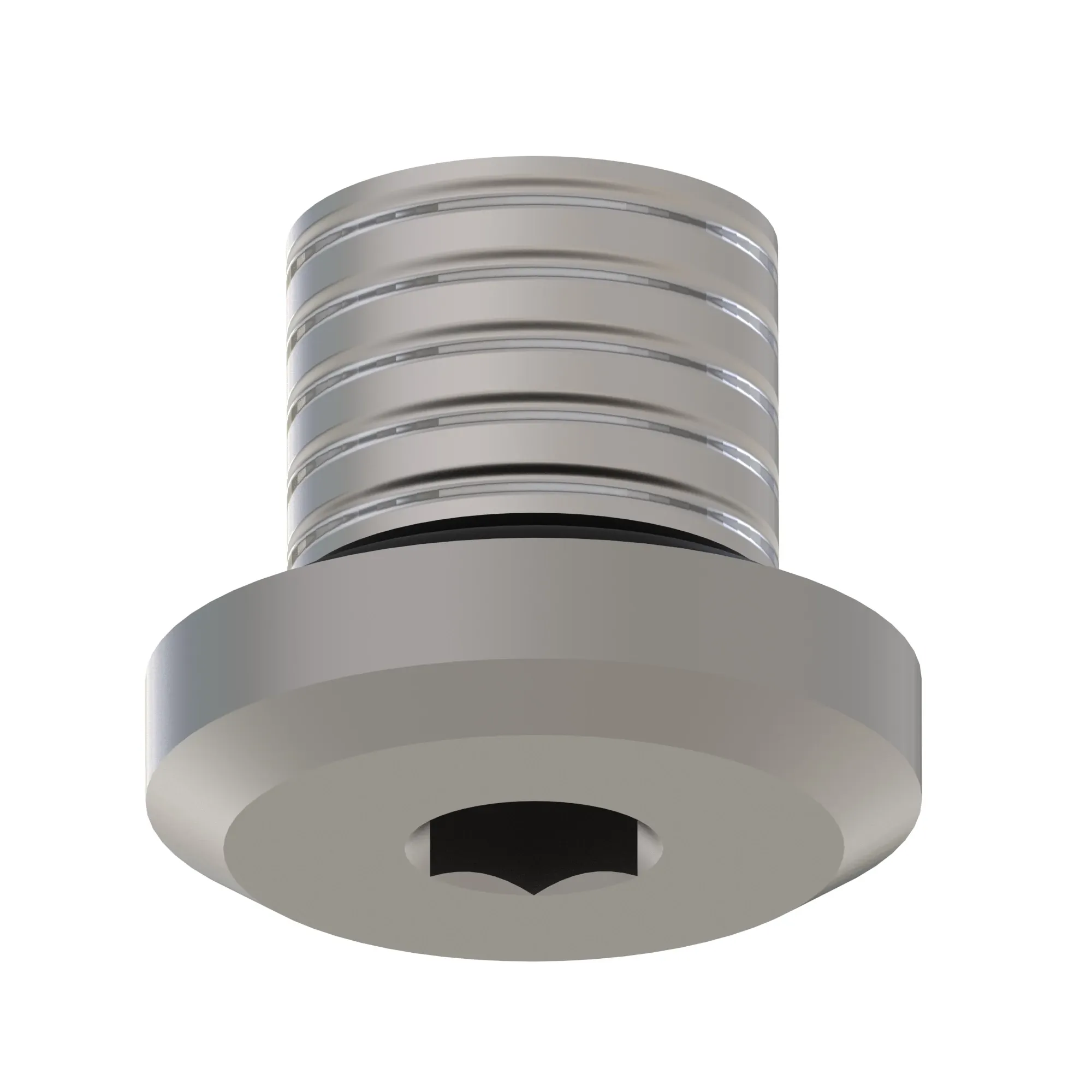 Fitting Plug