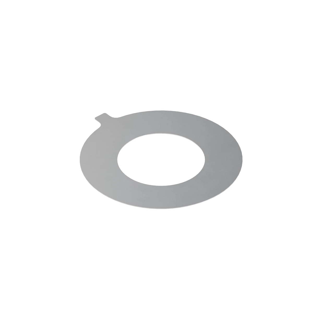 Thrust Washer