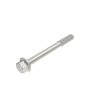 Screw