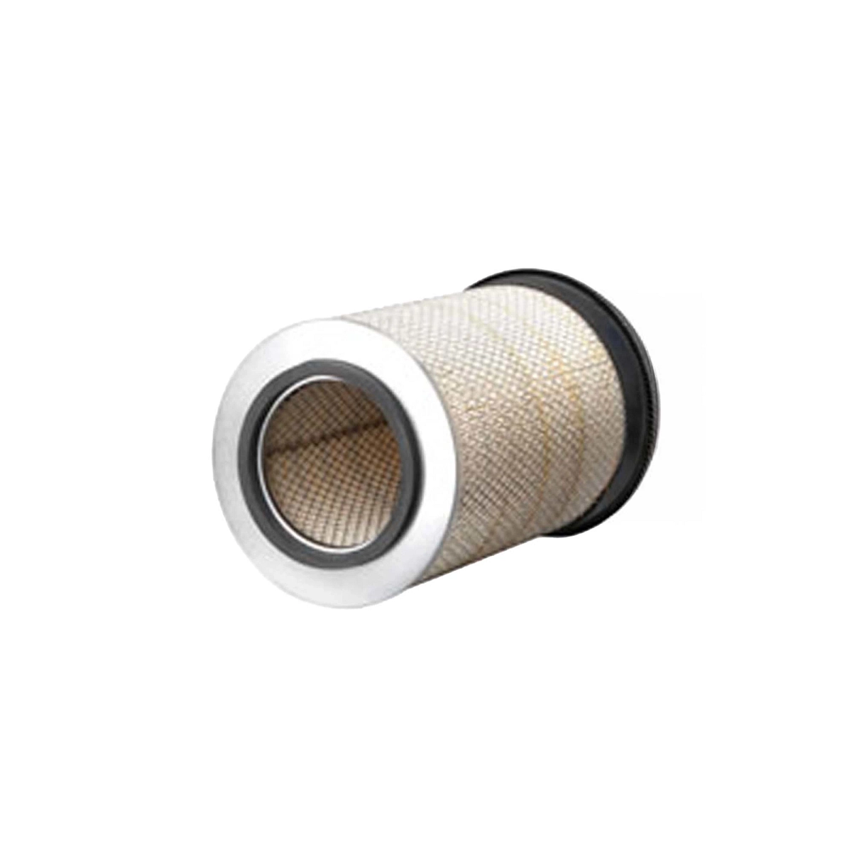 Primary Air Filter