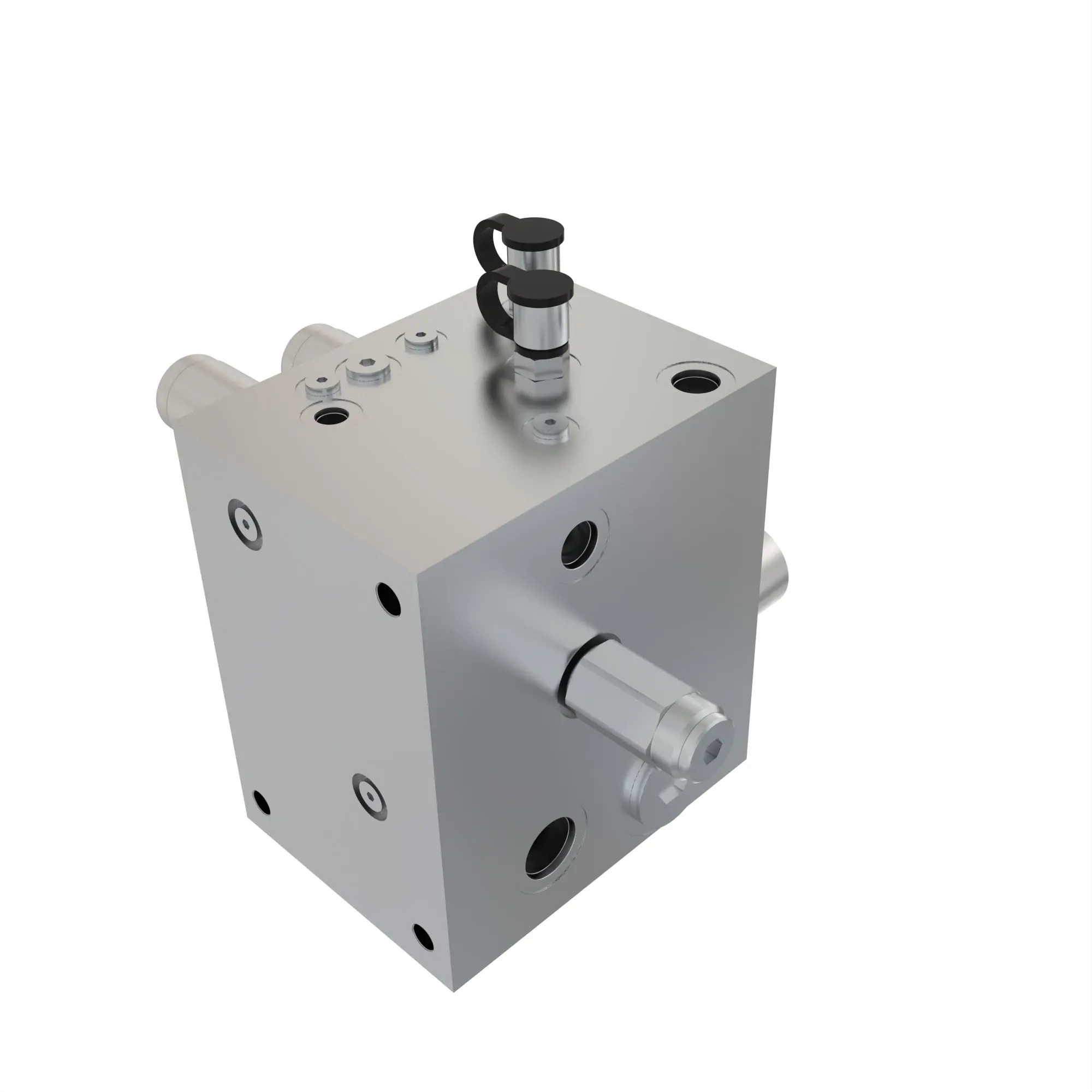 manifold