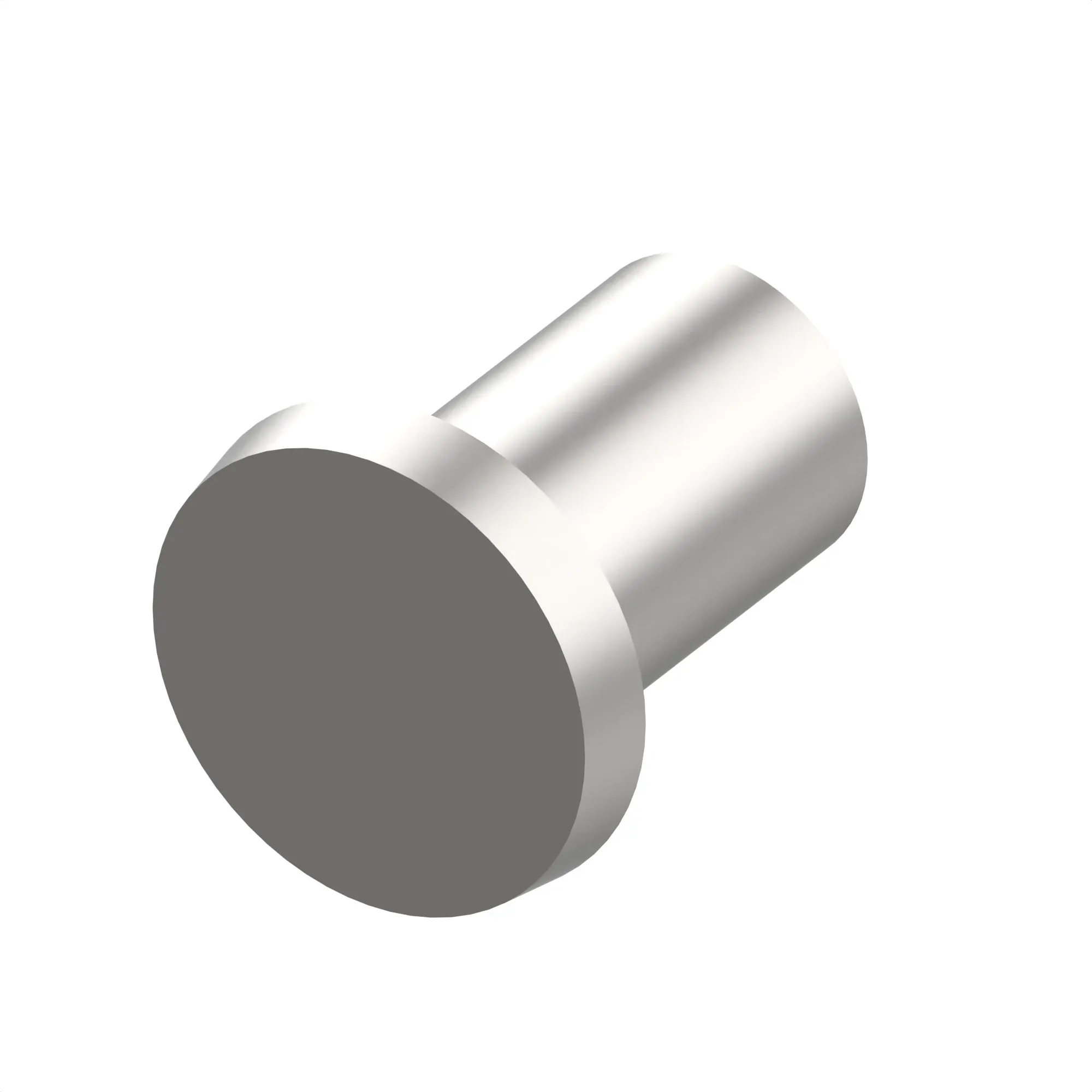 RIVET