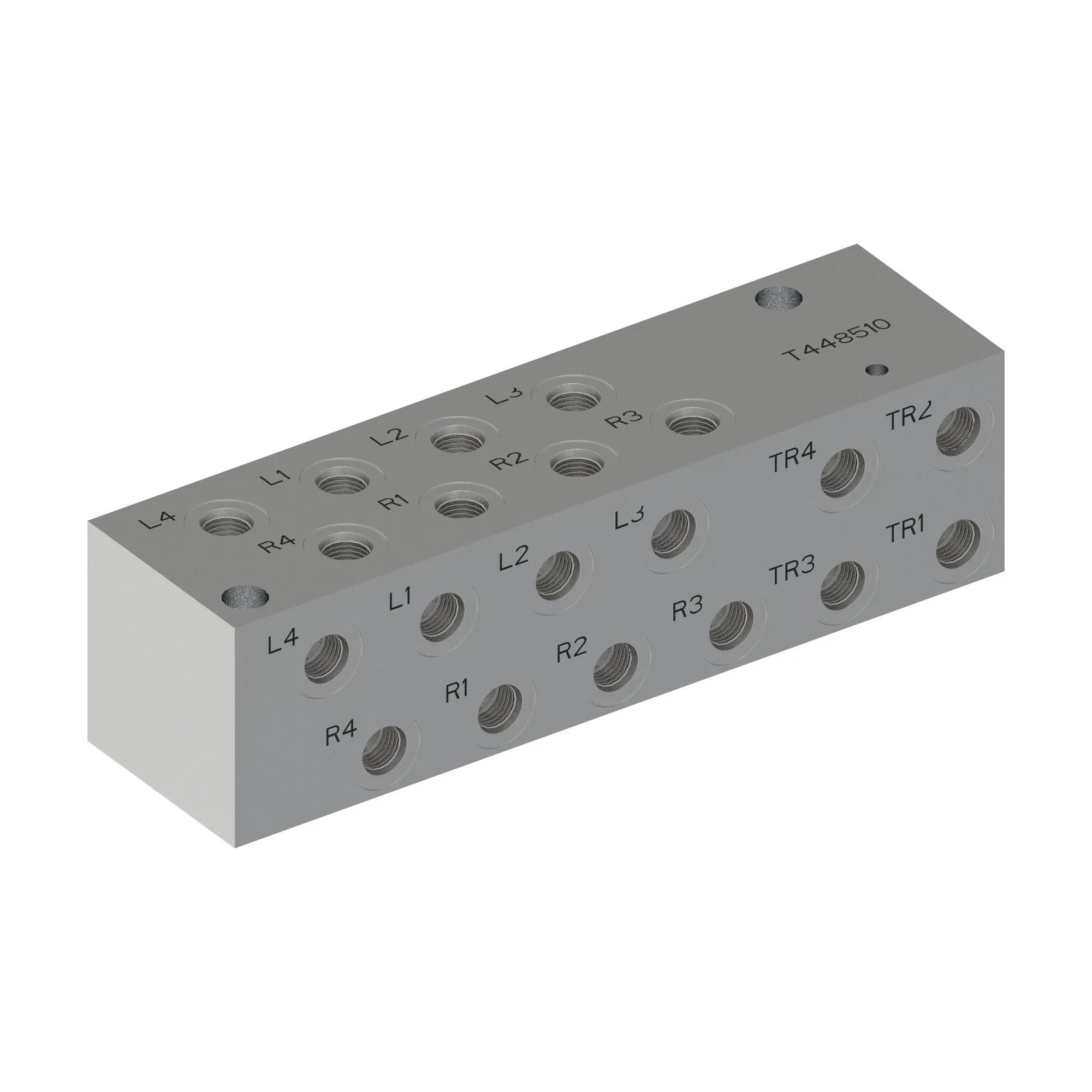 Manifold