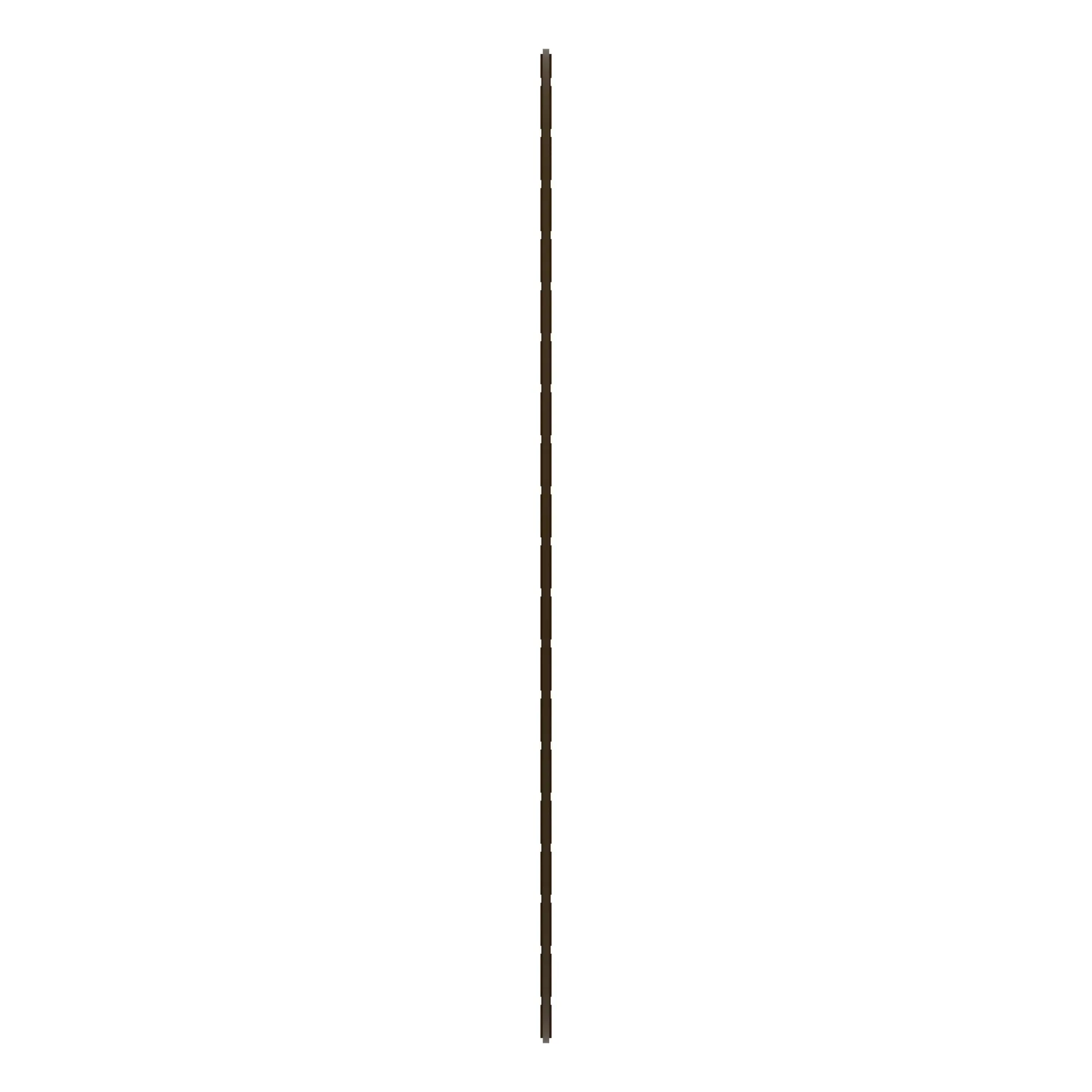 Disk