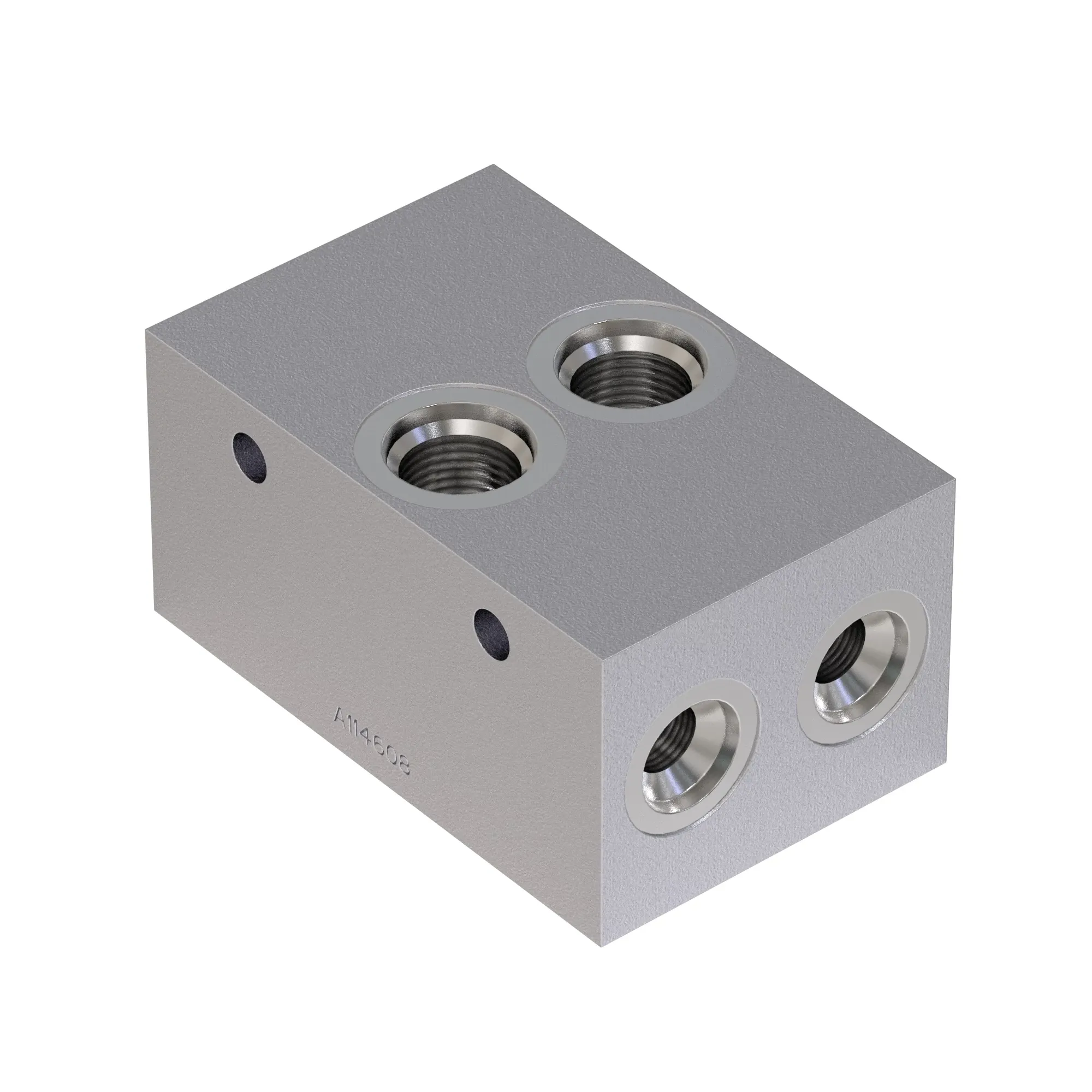 Manifold