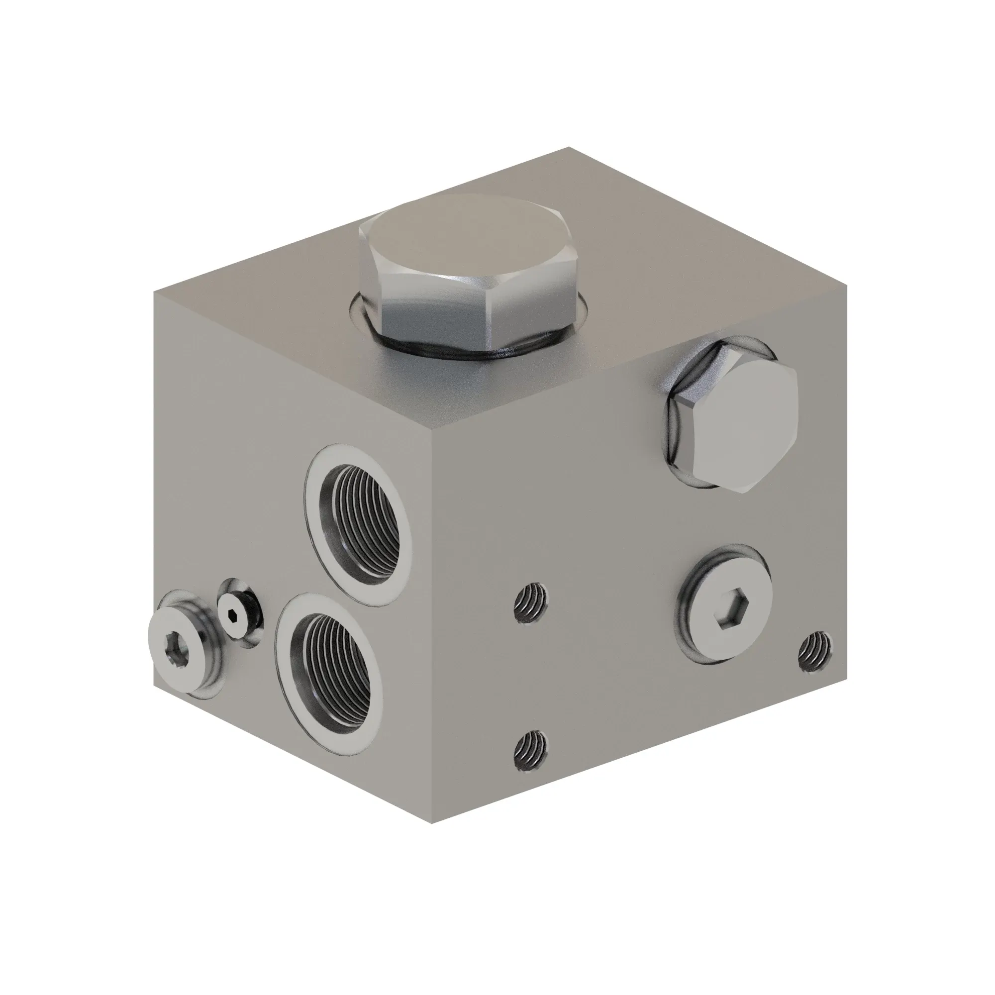 Manifold