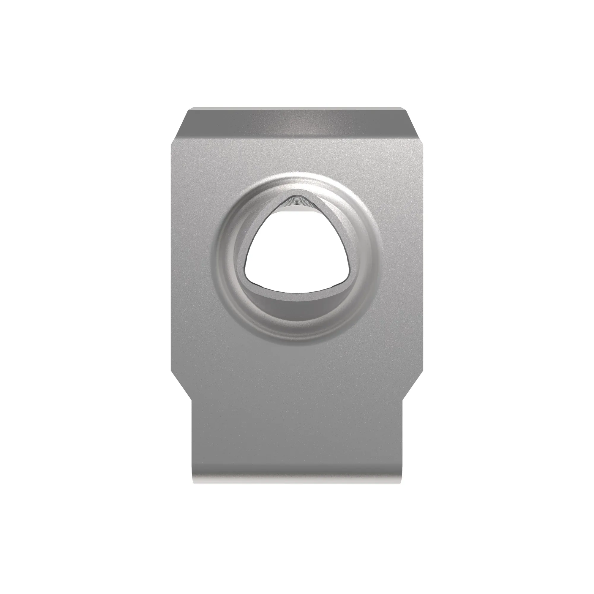 Lock Nut